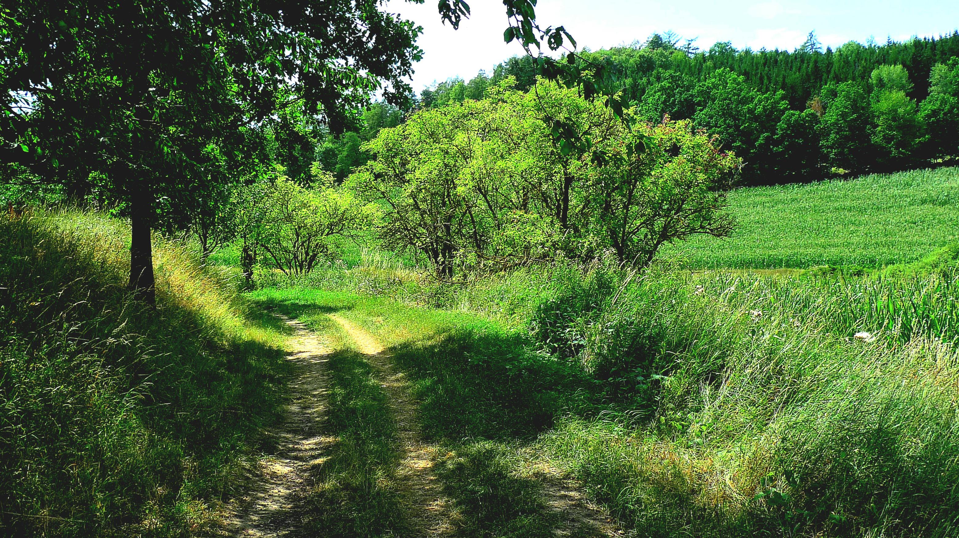 Turistická oblast Pošumaví foto 1