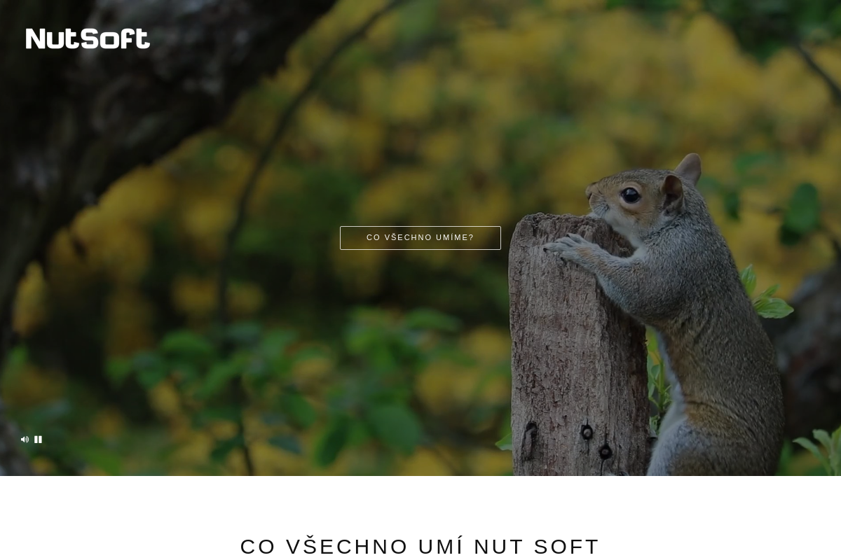 Nut Soft
