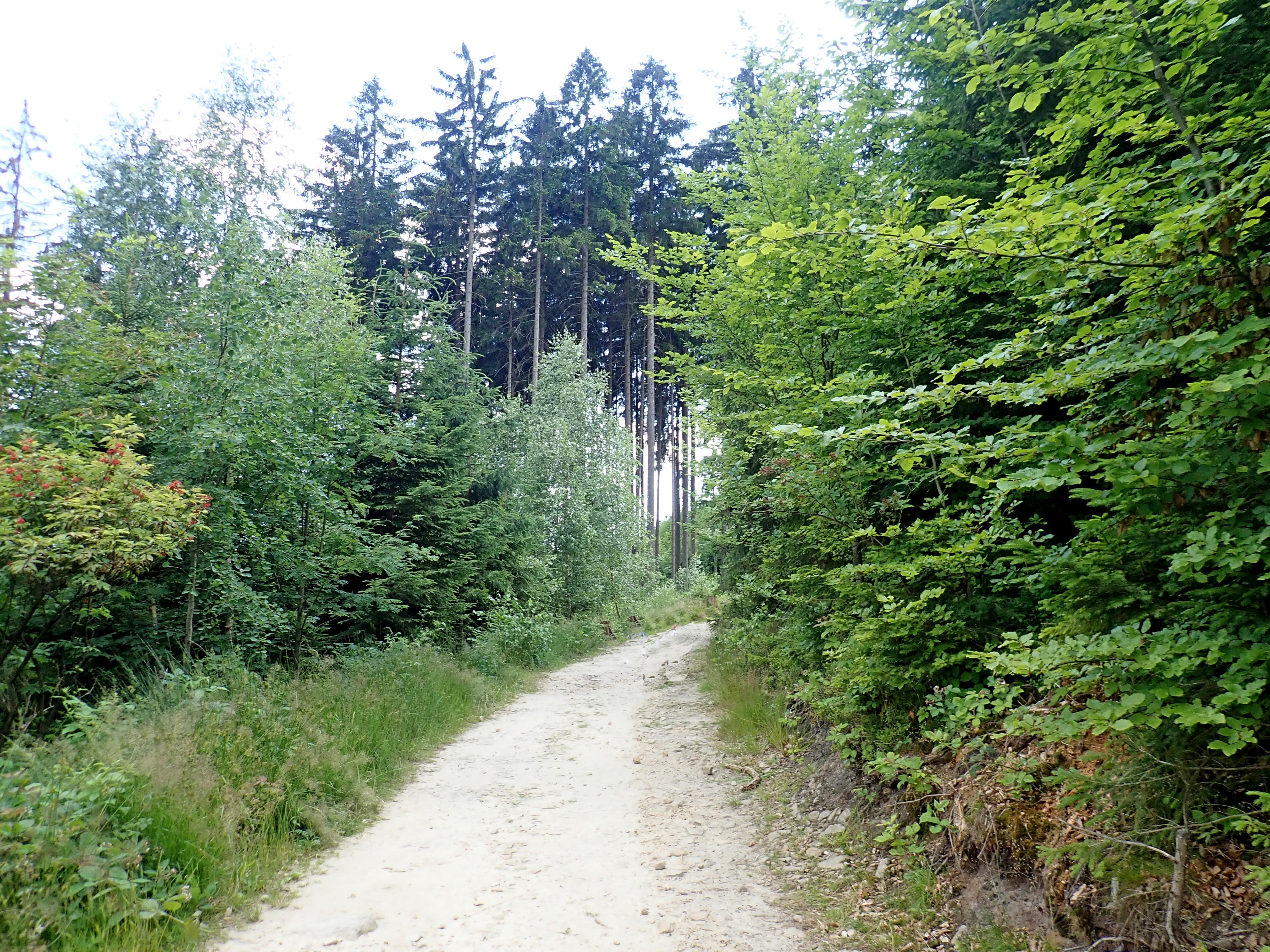 Chatová osada Ostaš foto 4
