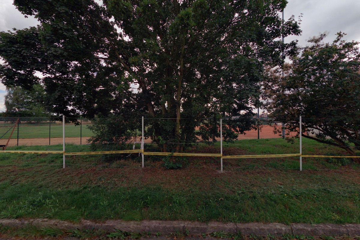Baseballové hříště Lobkovice foto 2