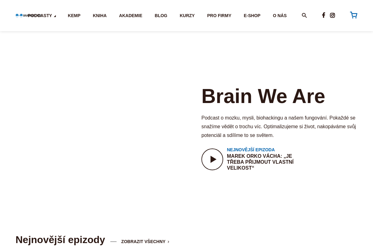 Brain We Are