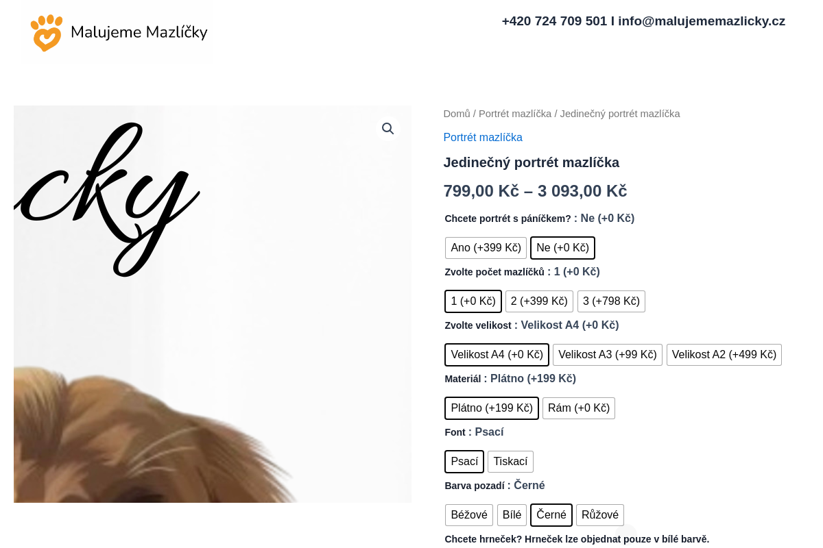 Malujememazlicky.cz