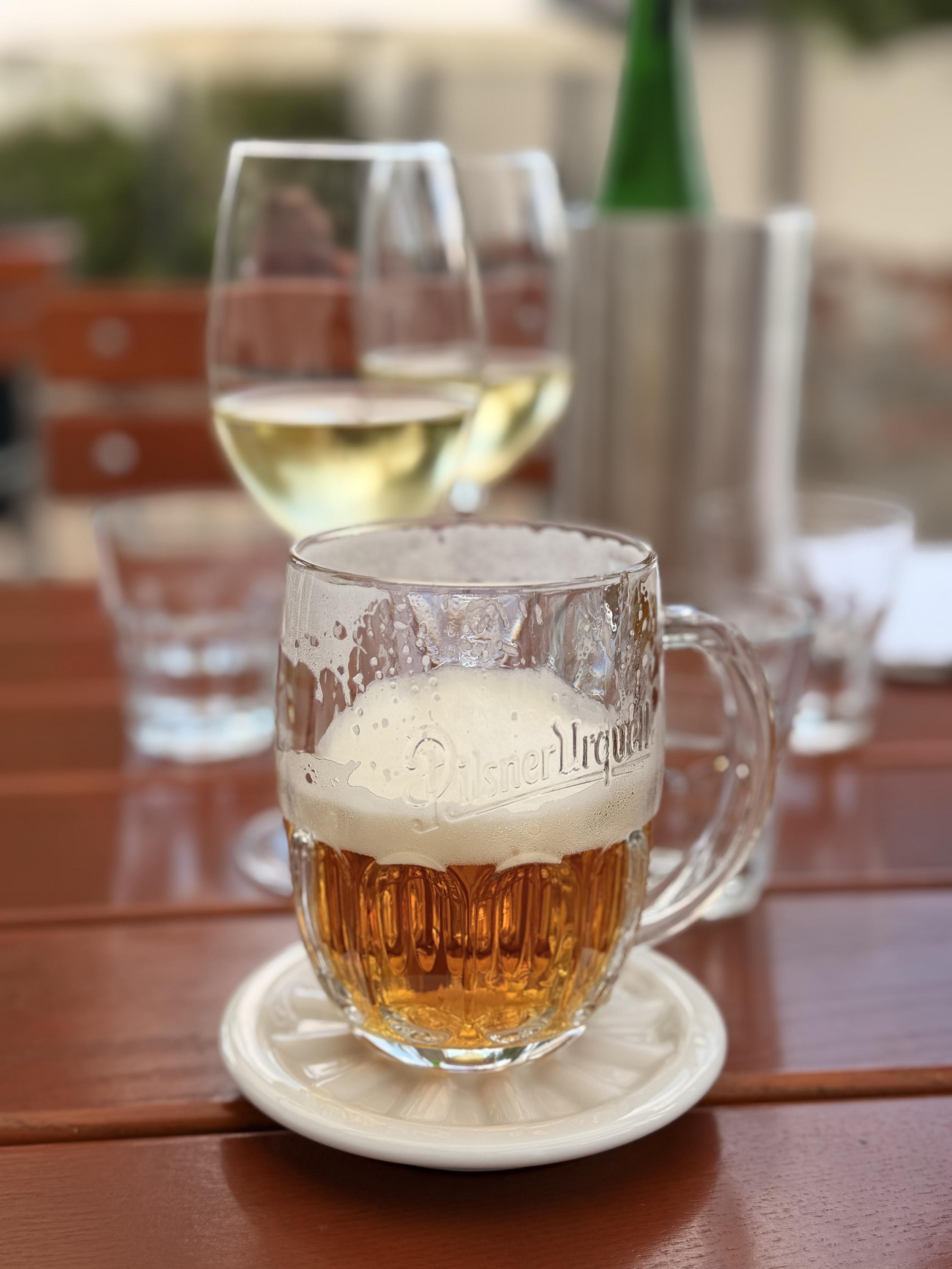 Dvoreček Dýšina foto 2