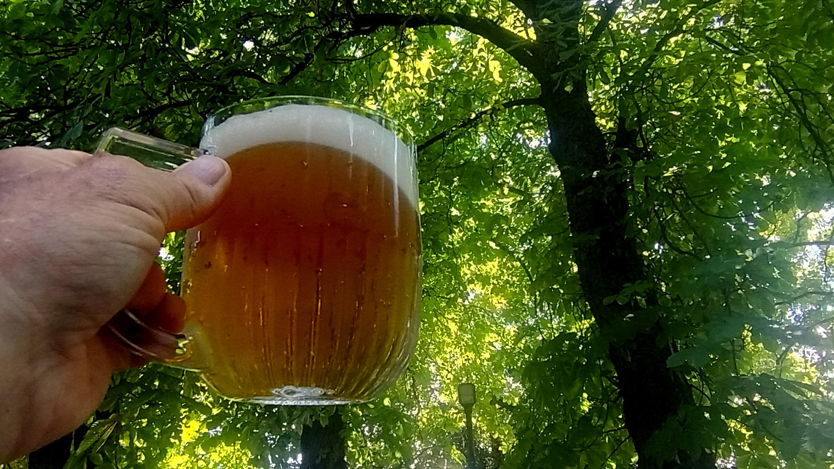 Pivnice Budvarka foto 2