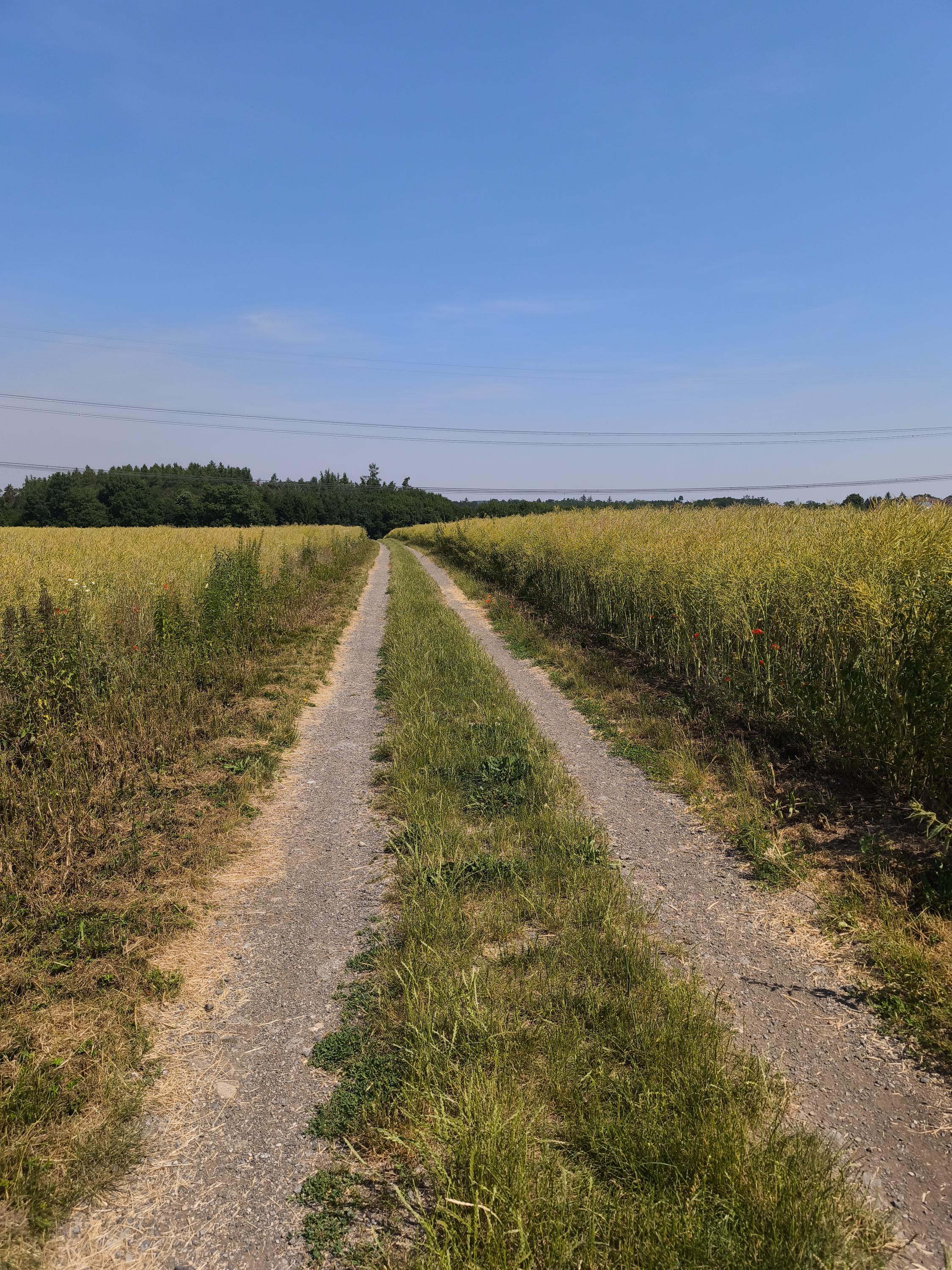 Hřiště Ernest - hospoda Zvole foto 2