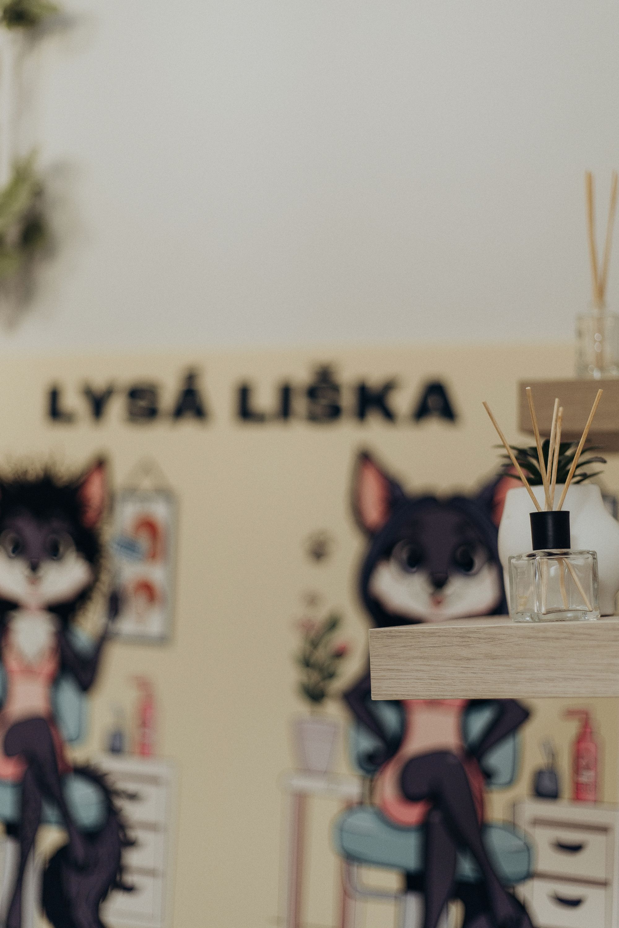 Lysá Liška foto 1