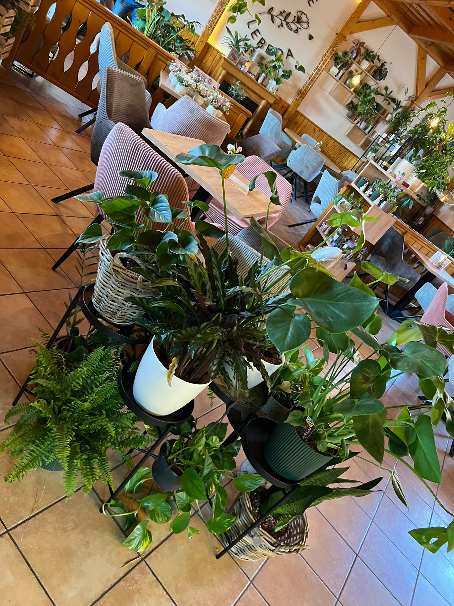 Kafe & Lebeda foto 5