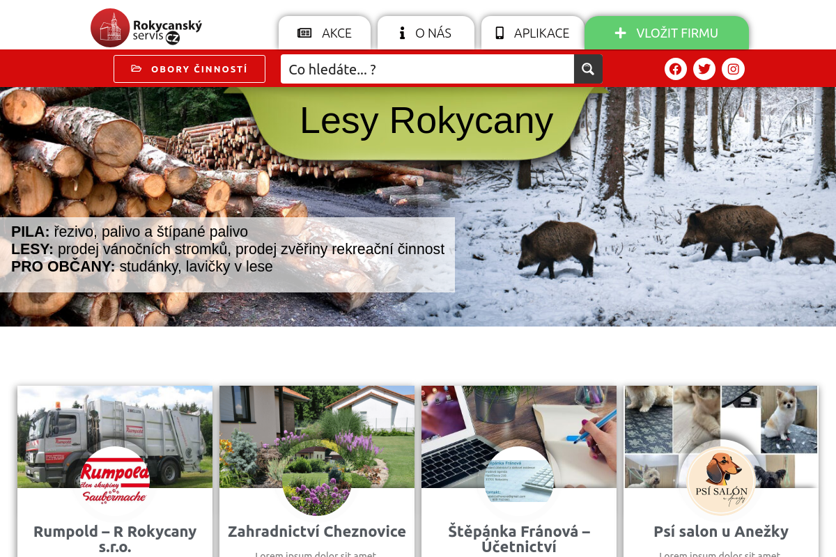 Rokycansky-servis.cz