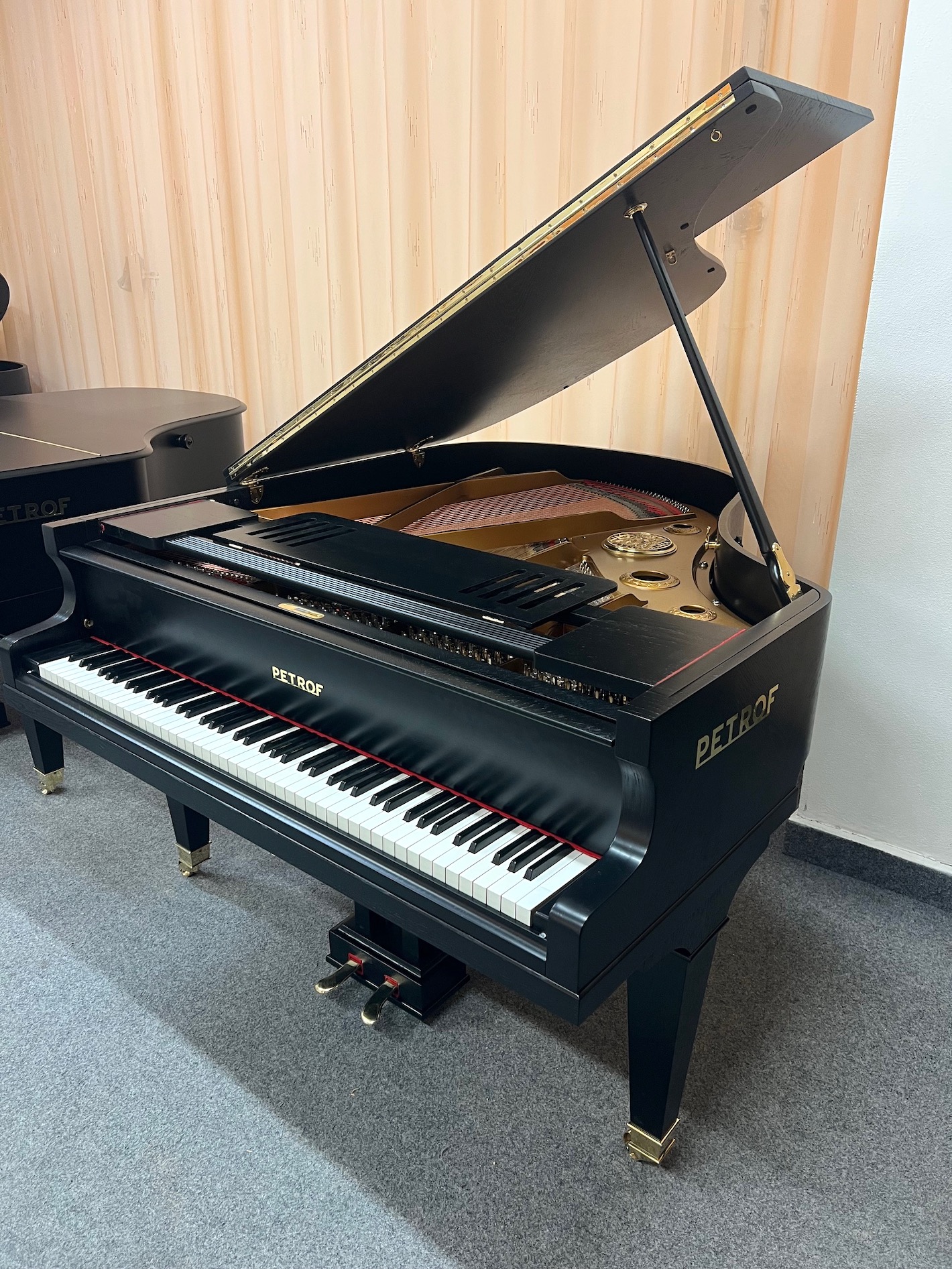Forte Piano foto 6