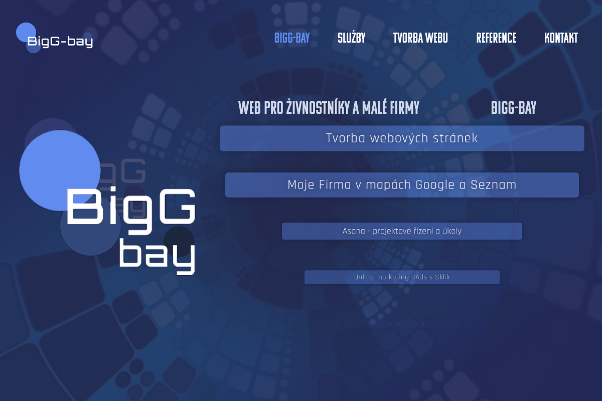 Jiří Vocílka - BigG-bay
