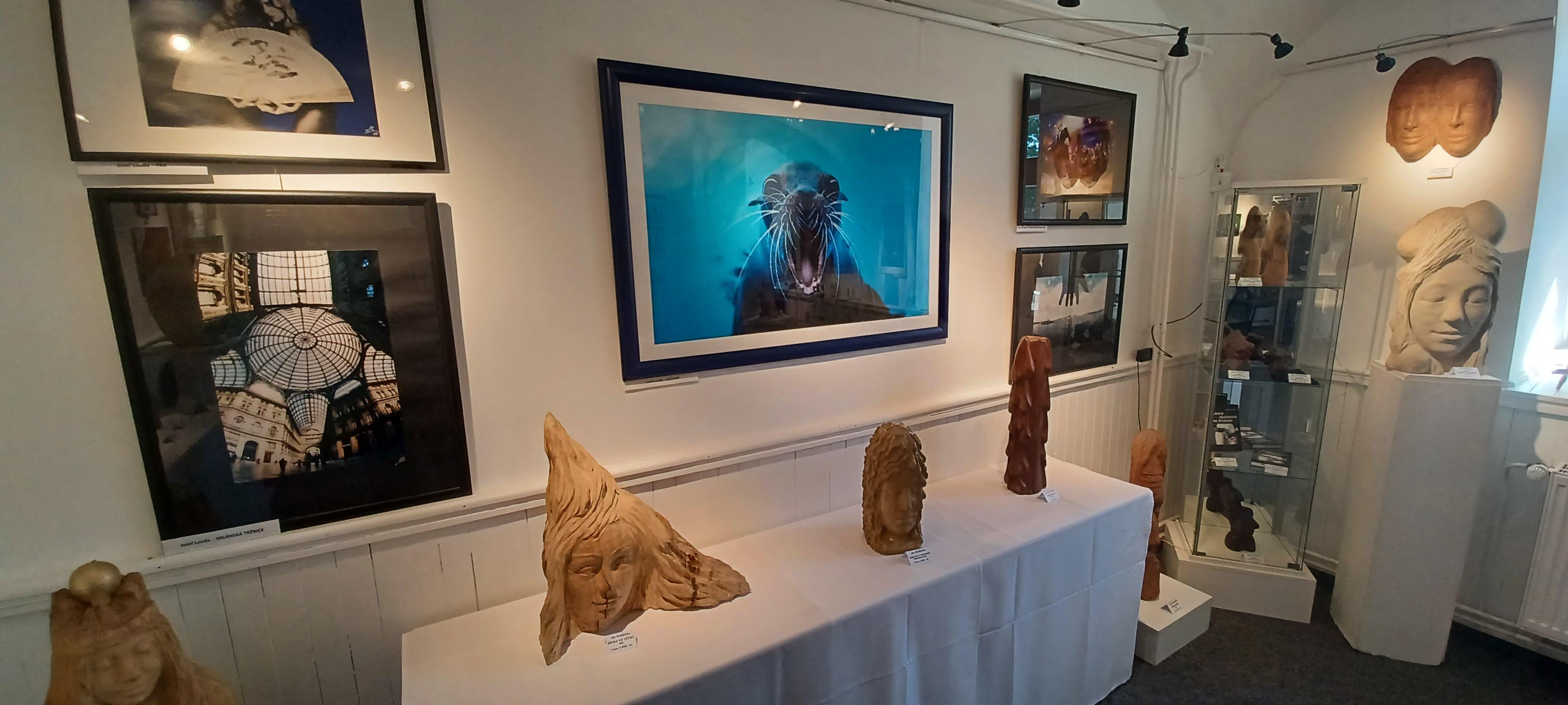 Galerie STARÁ ŠKOLA foto 2