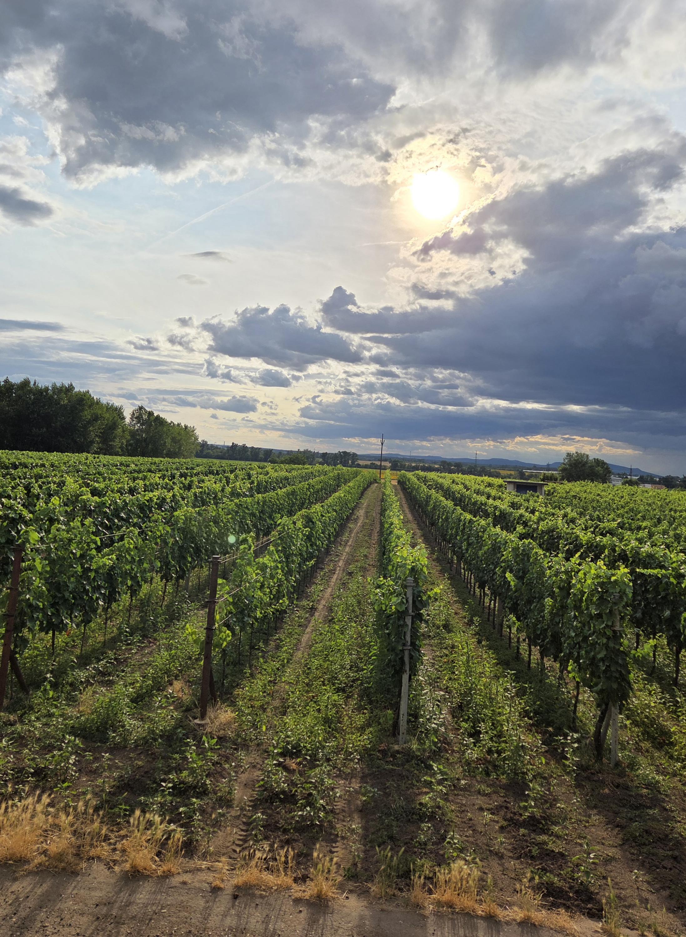 Penzion Čičina foto 2