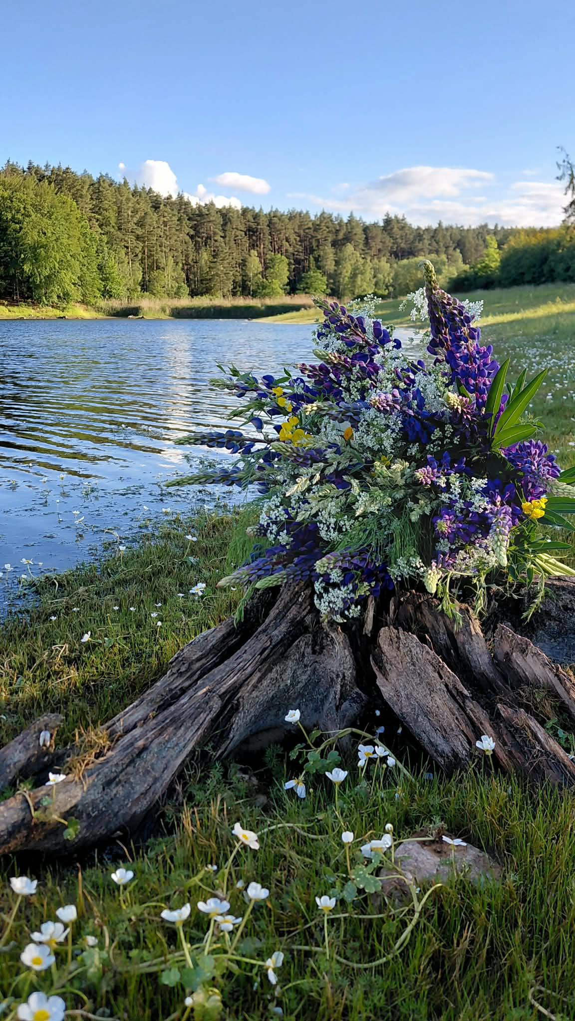 Květinářství Anička foto 4