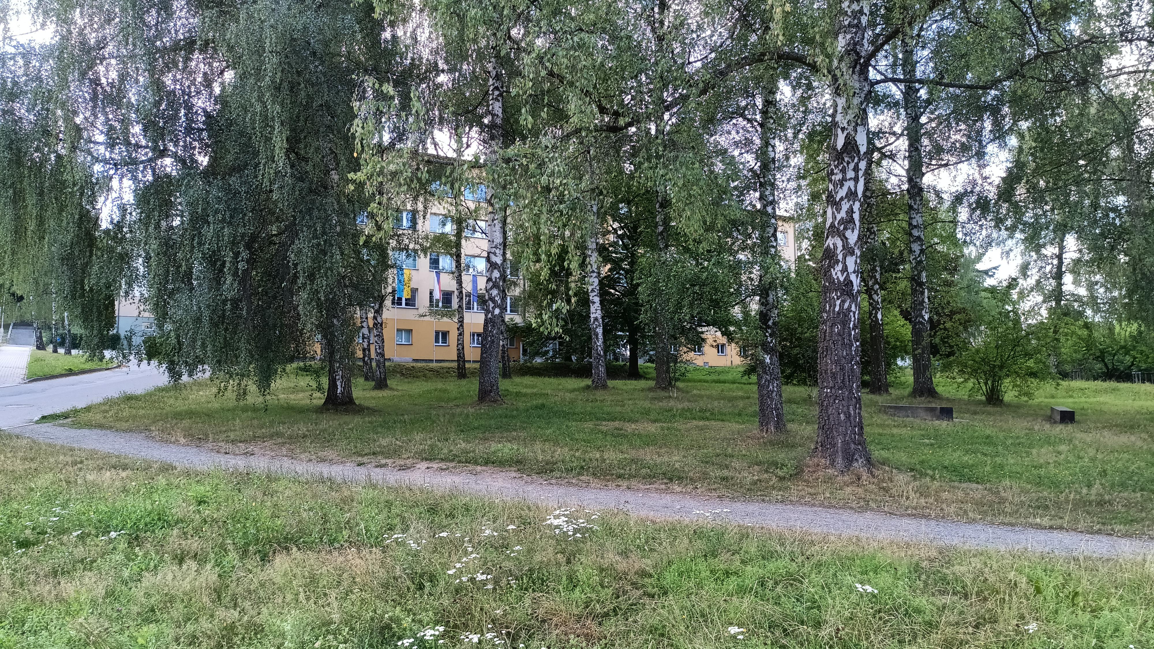 Žďár nad Sázavou - městský úřad foto 4