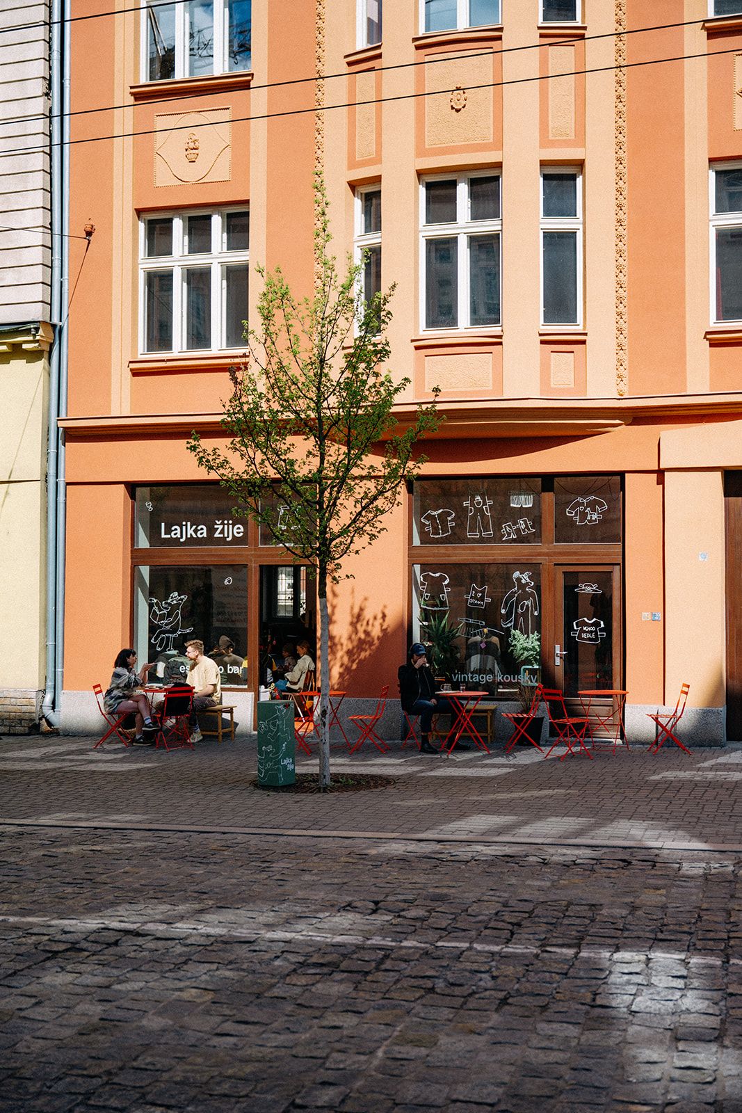 Lajka žije foto 1
