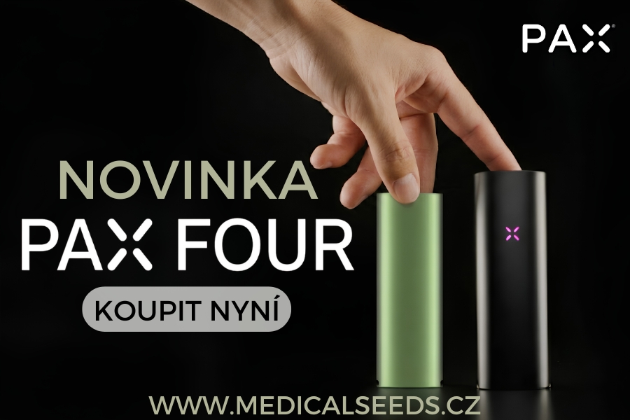 Novinka
