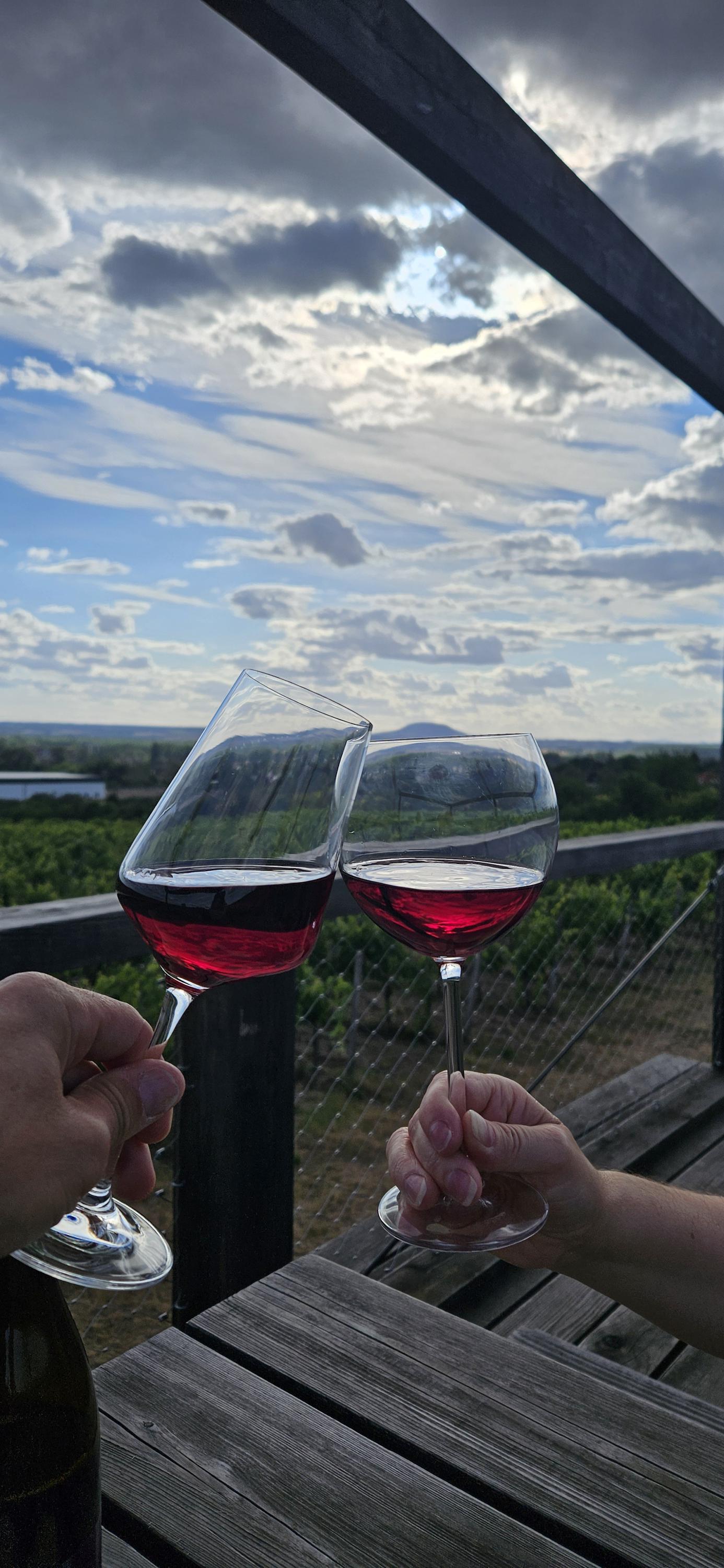 Vinice Klamovka foto 1