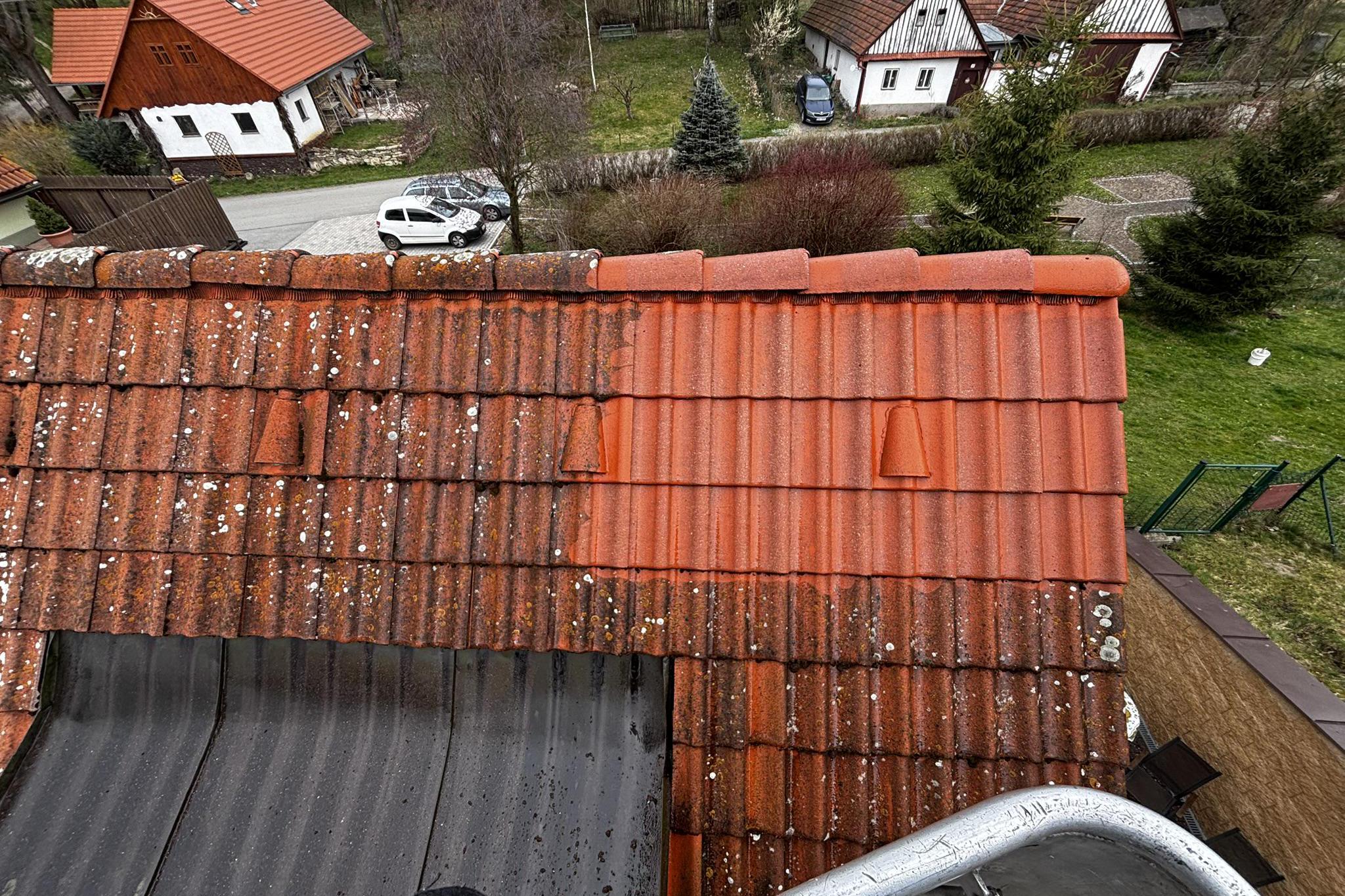 Čištění Beran