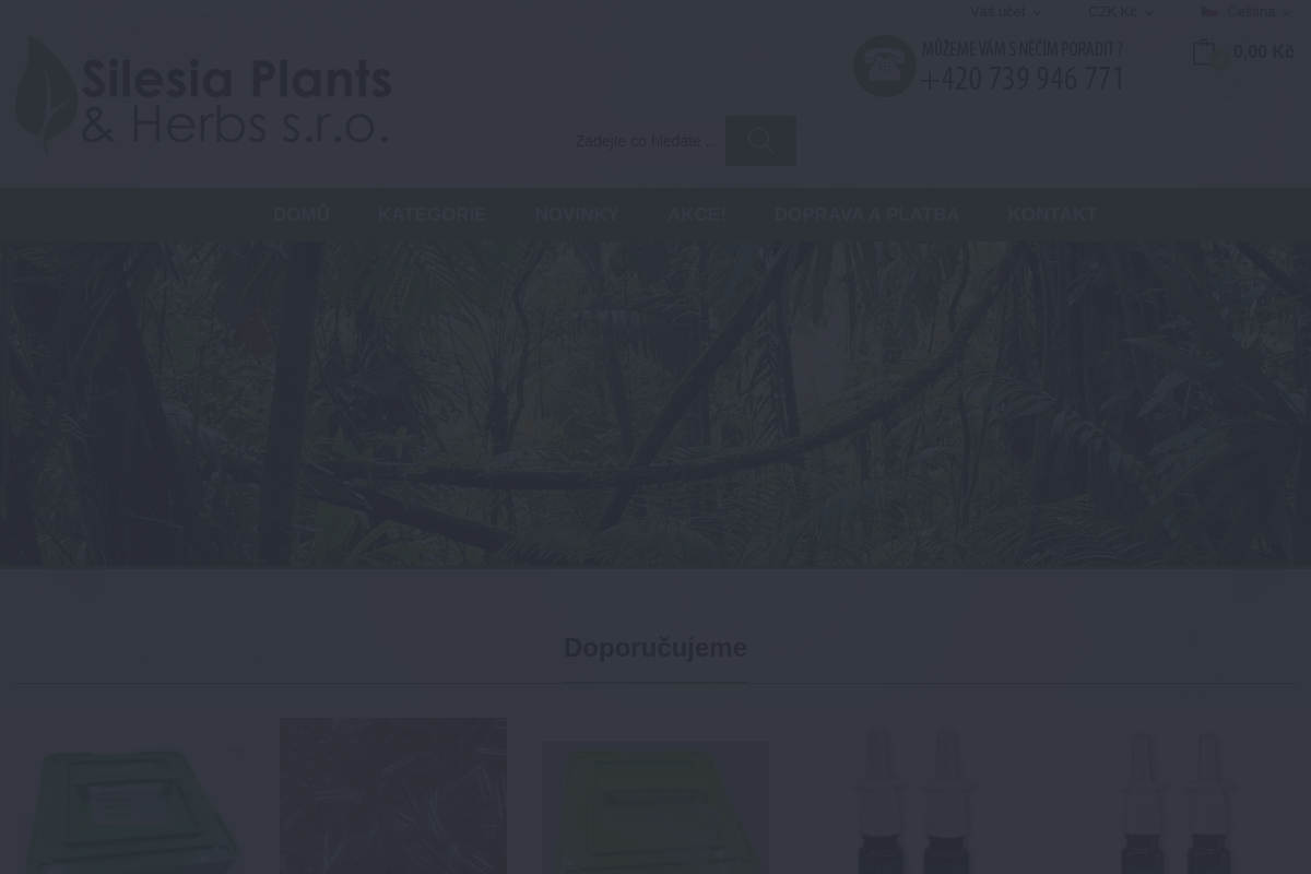 Silesiaph.cz