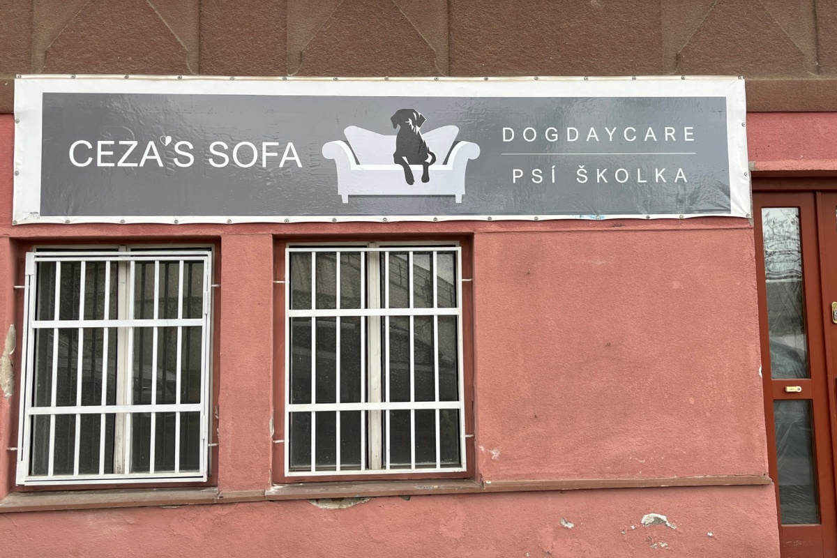 Psí salon Zdeňka Ráčková foto 6