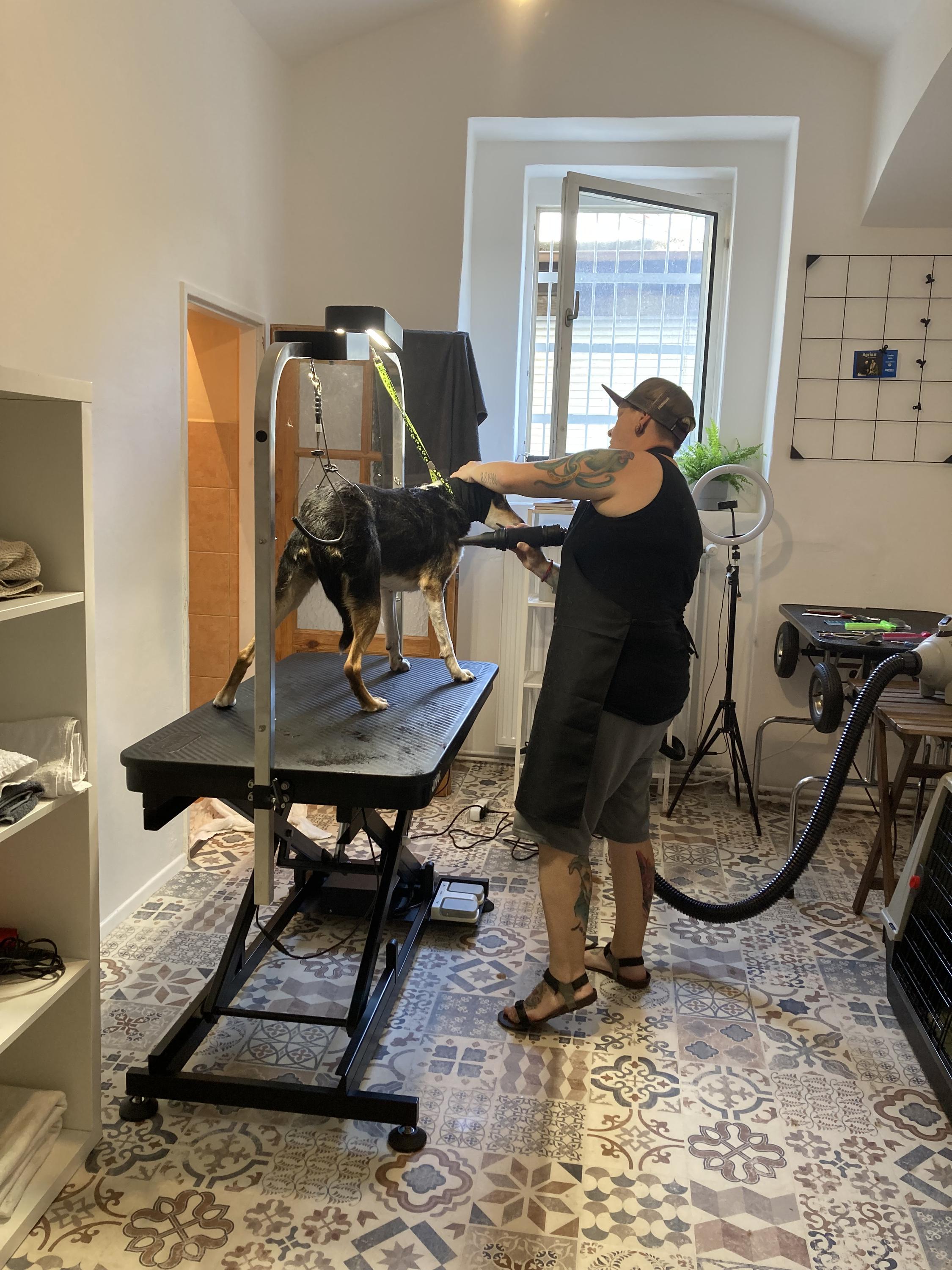 Psí salon Zdeňka Ráčková foto 3