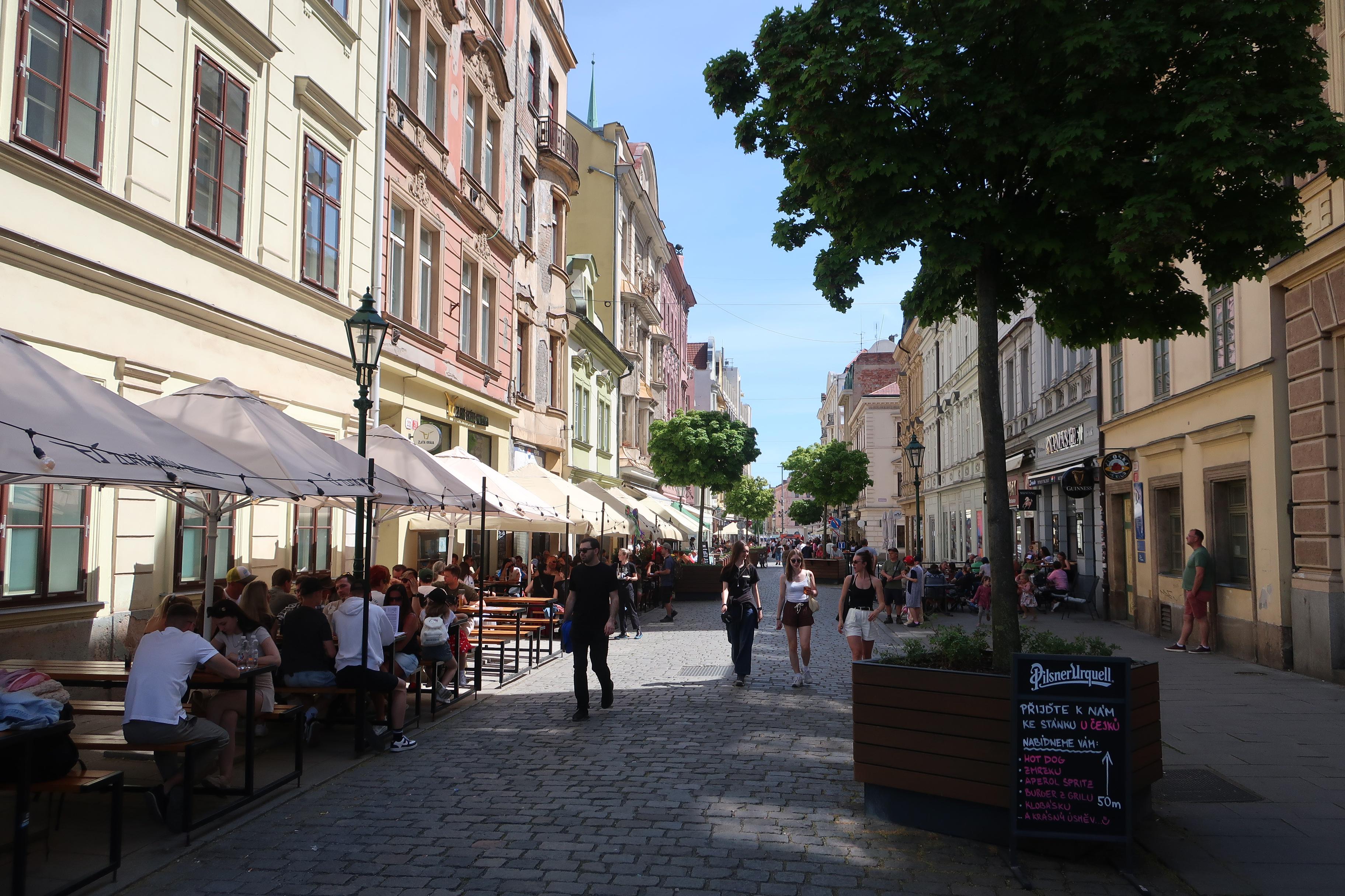 Zlatá kráva Bandaska foto 6