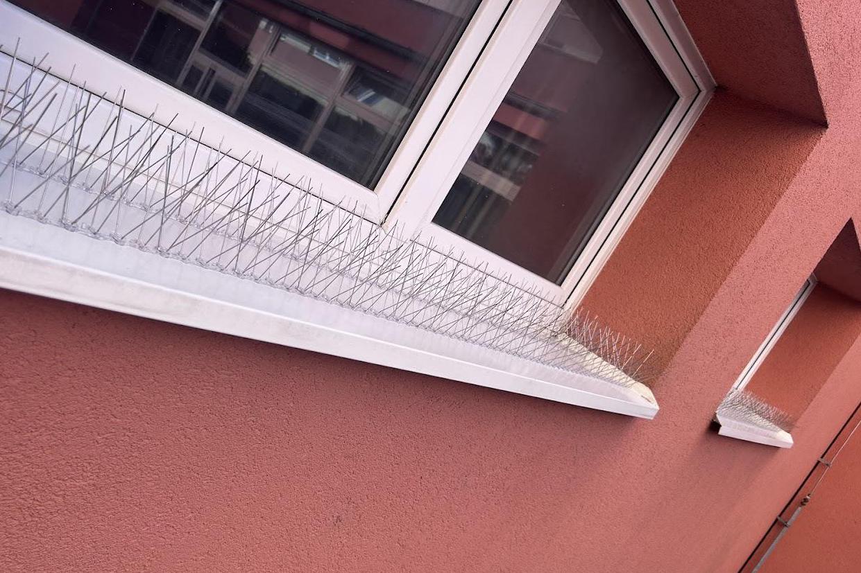 Instalace hrotů proti holubům a ptactvu
