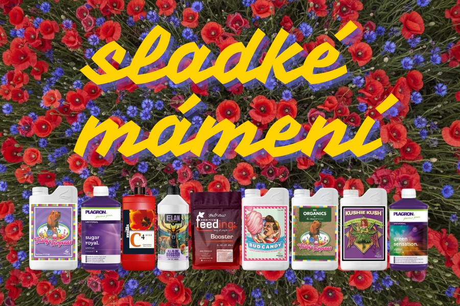 Sladké mámení