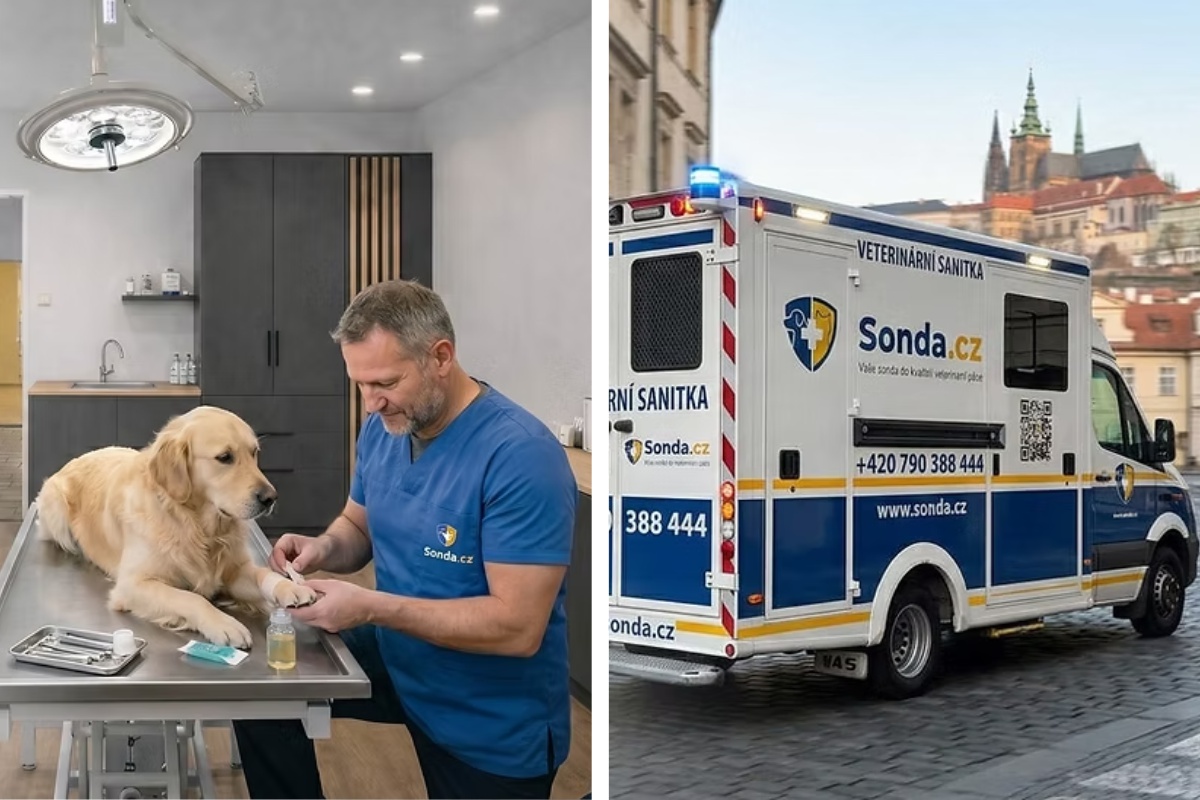 Sonda.cz | Veterinární klinika, veterinární sanitka a veterinář domů
