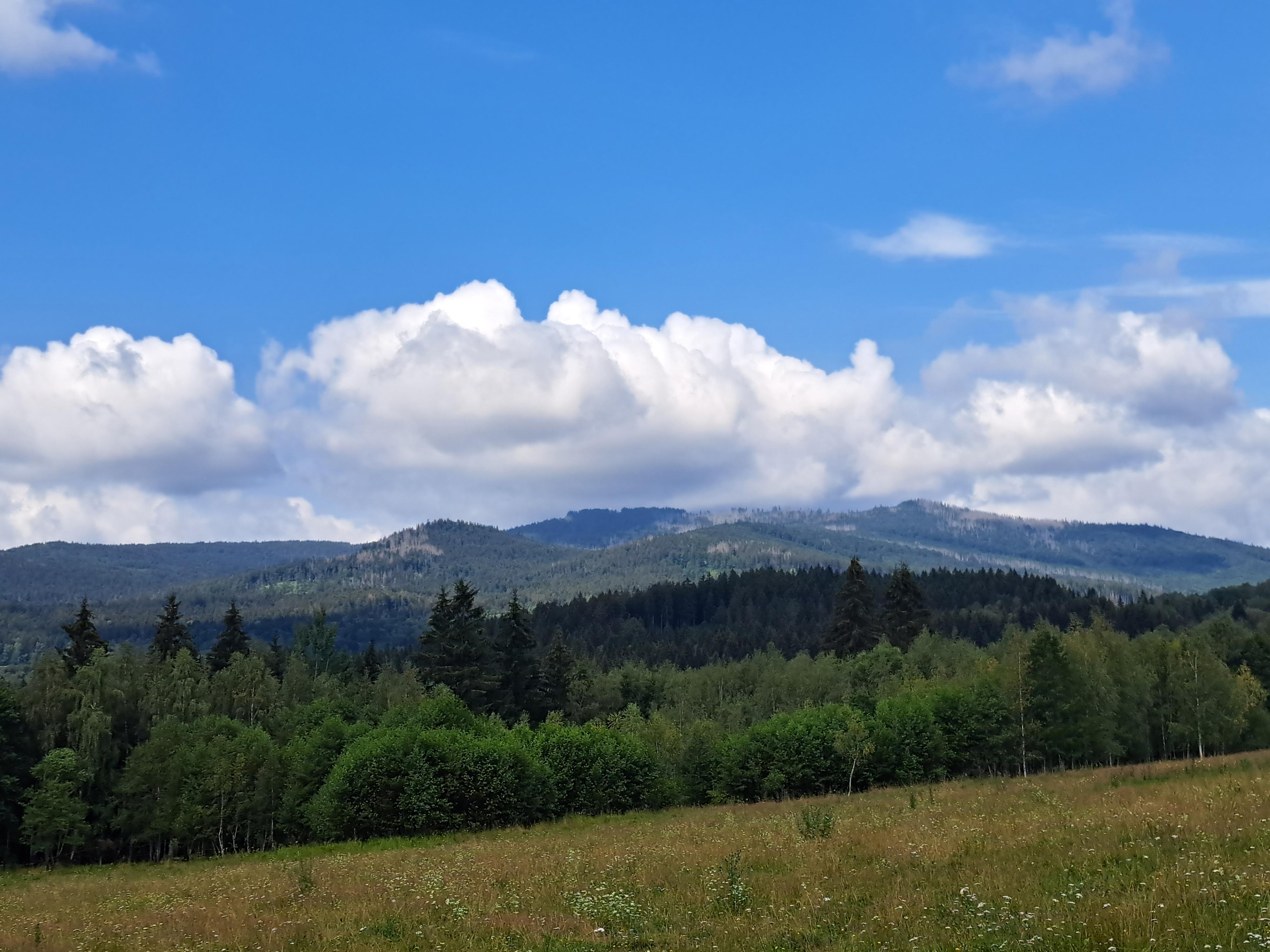 Šumavský med - Václav Jonáš foto 4