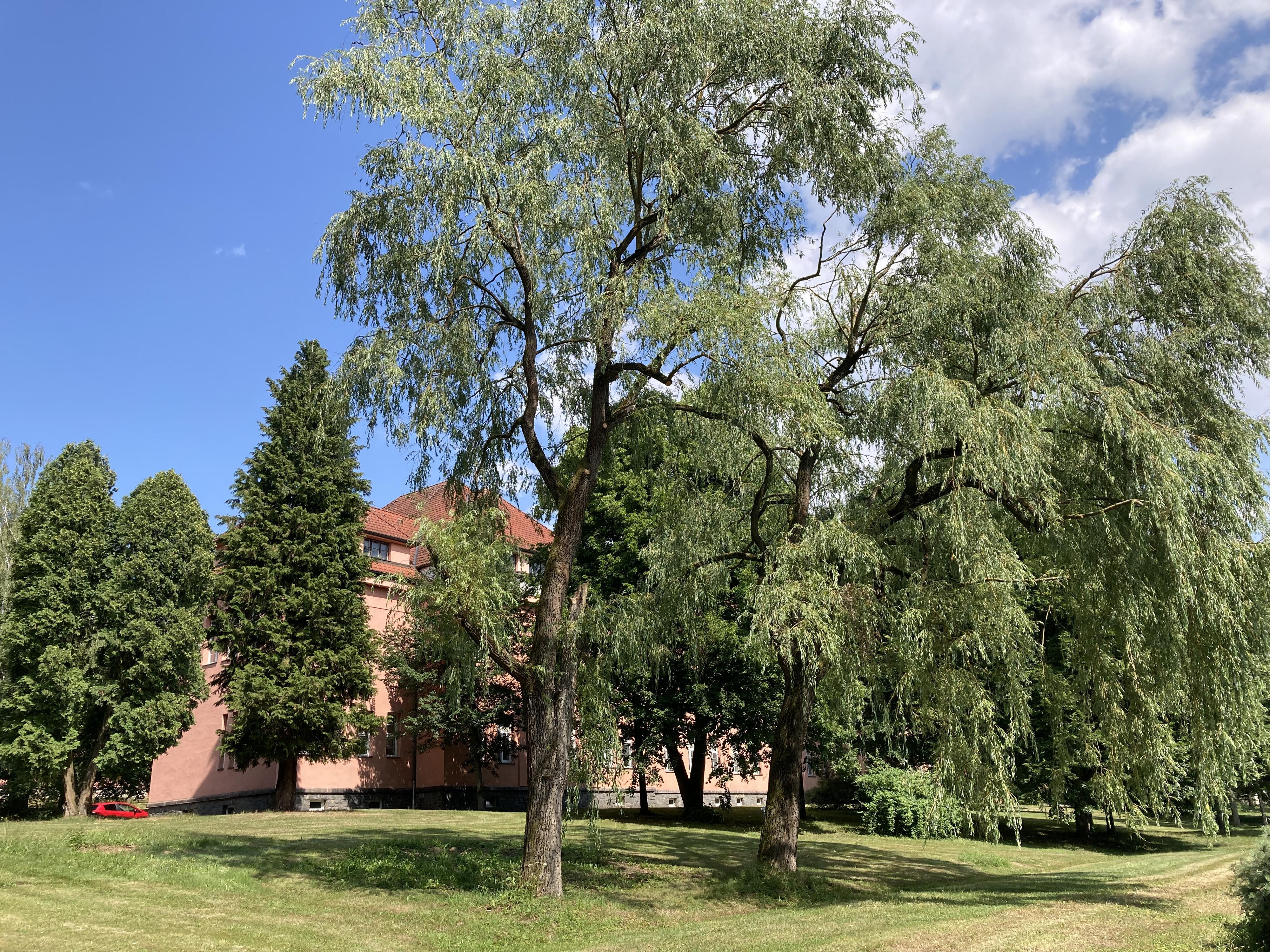 Psychiatrická nemocnice Havlíčkův Brod foto 4