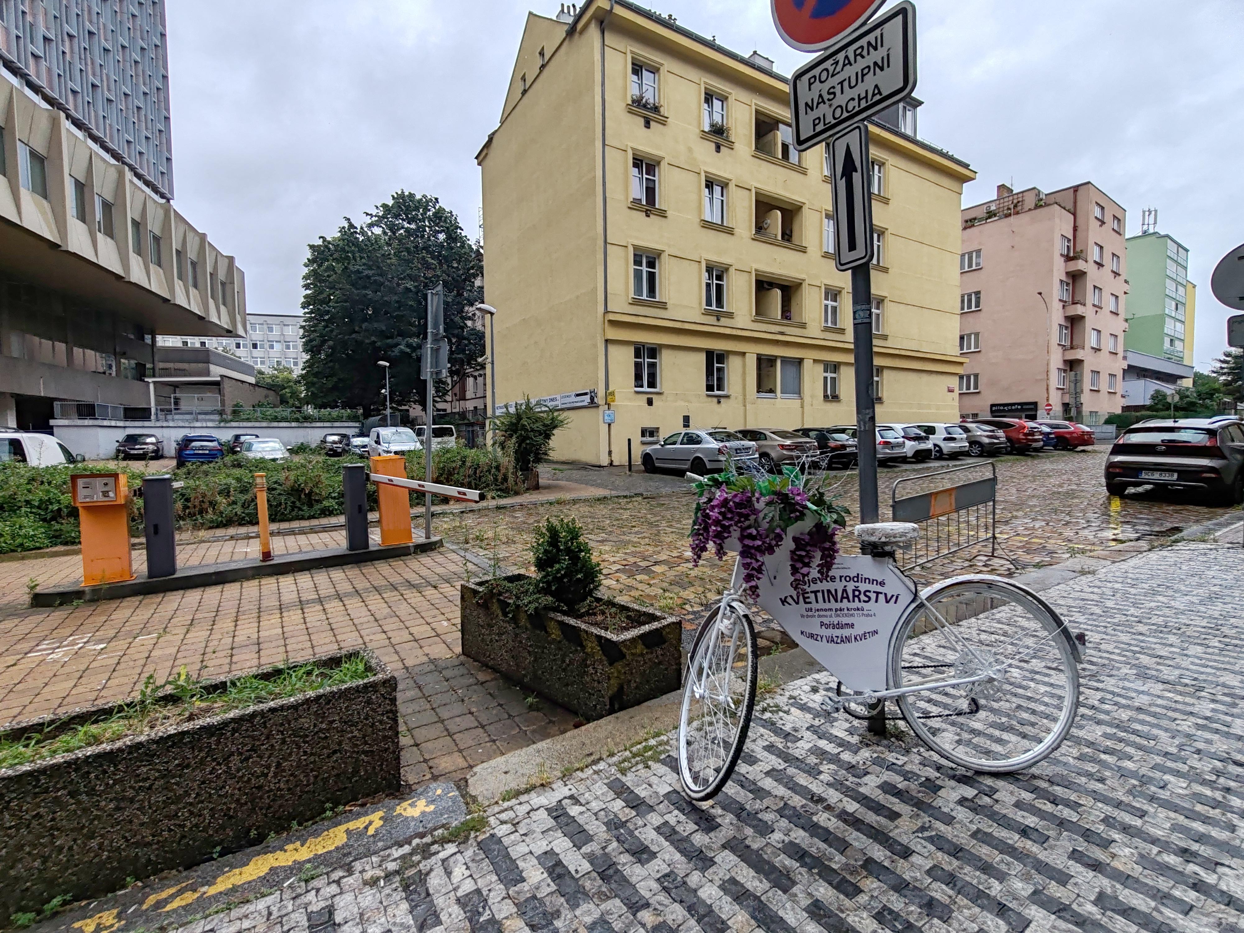 KVĚTINY DNES.cz foto 6