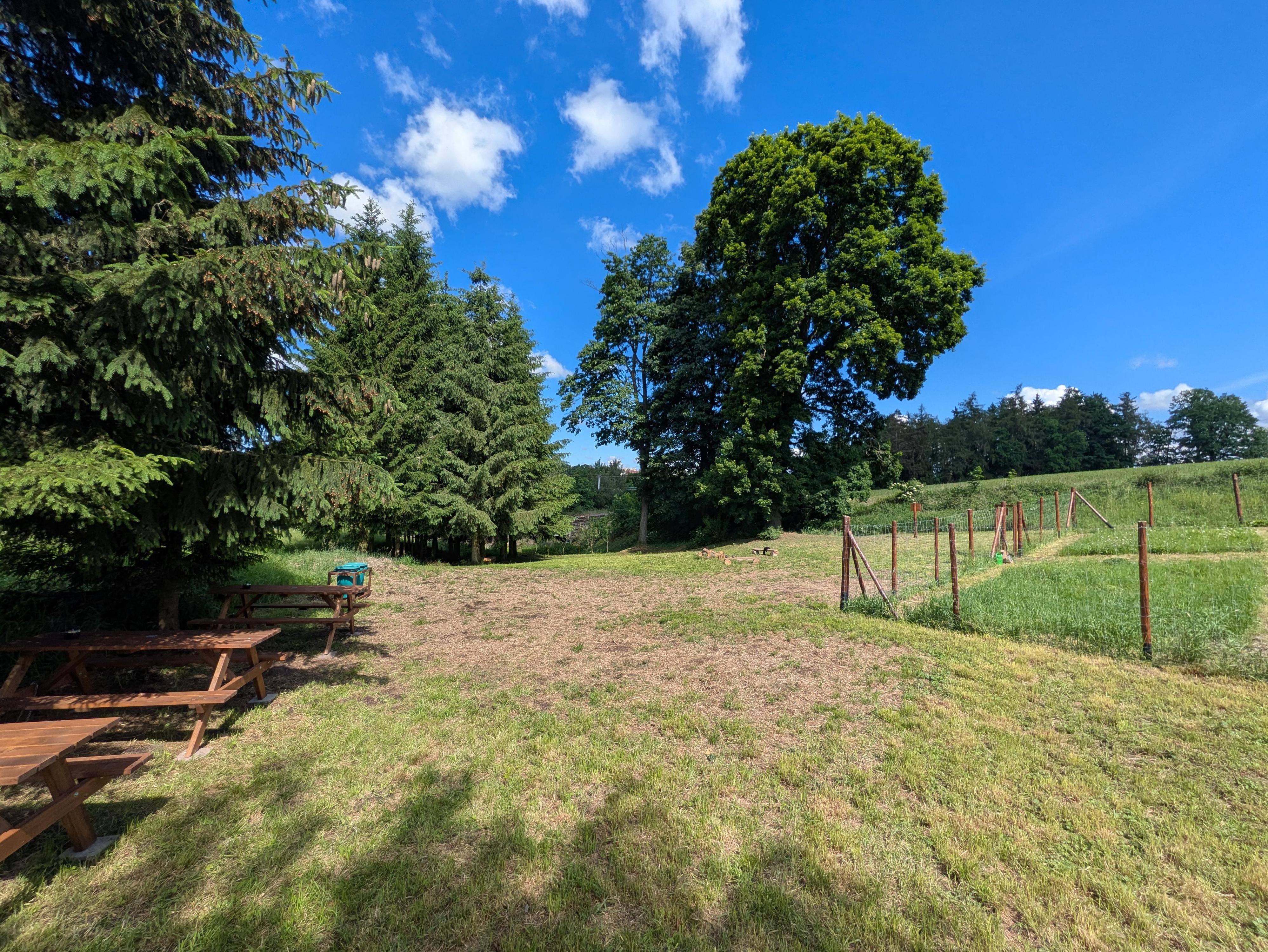 Lesní bar Havlíčkův Brod foto 6