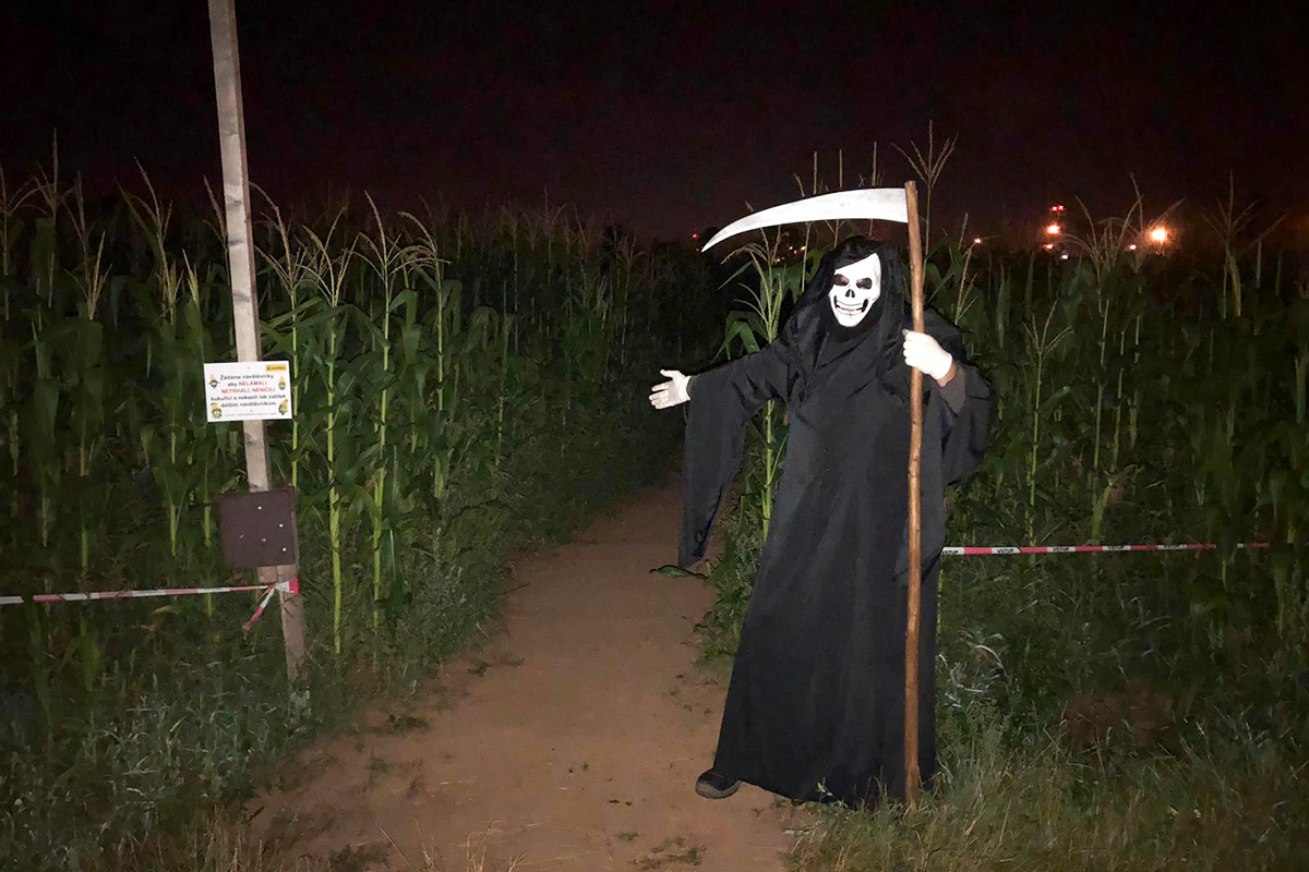 Kukuřičáci – Obří kukuřičné bludiště České Budějovice foto 6