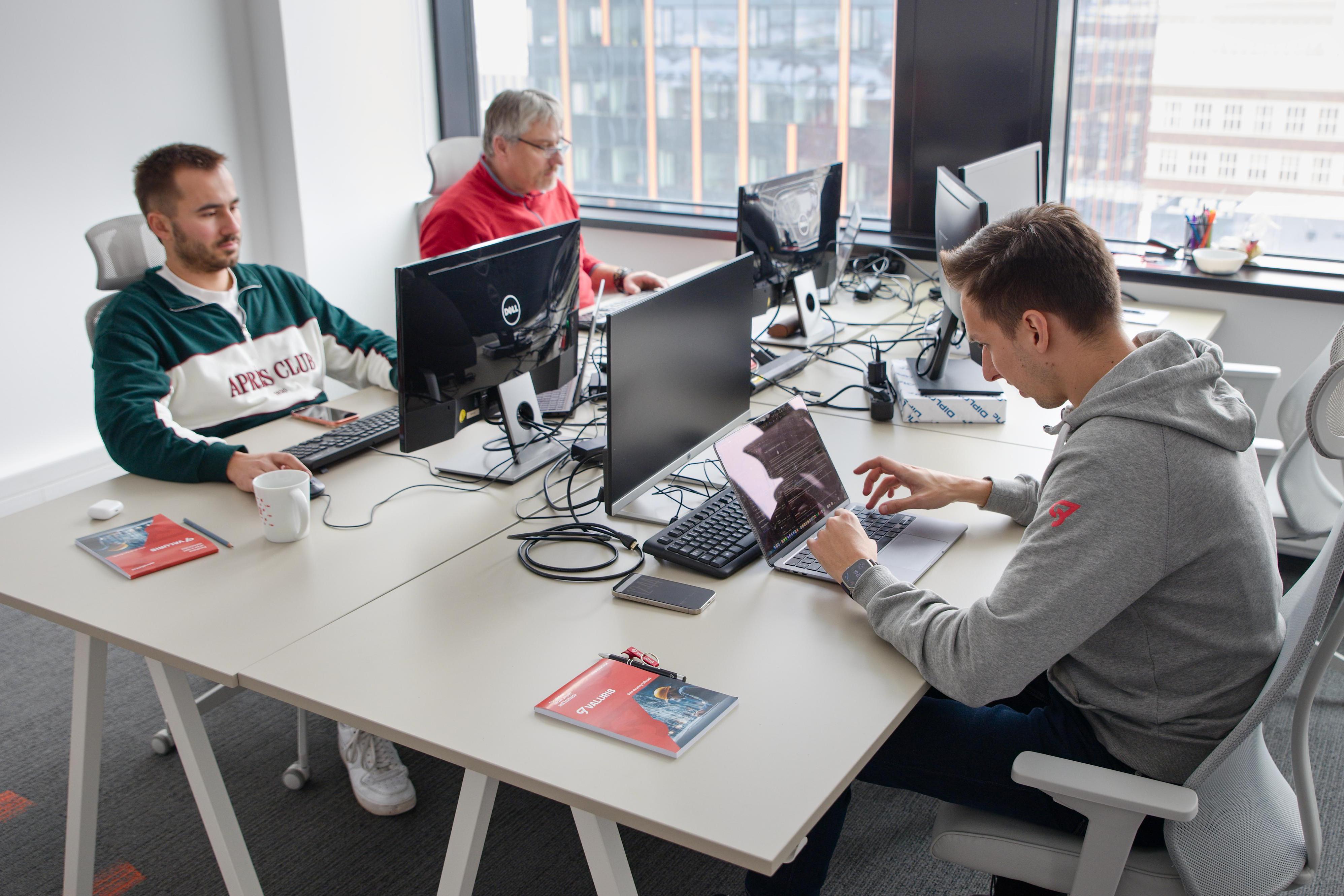 Valuris Experts