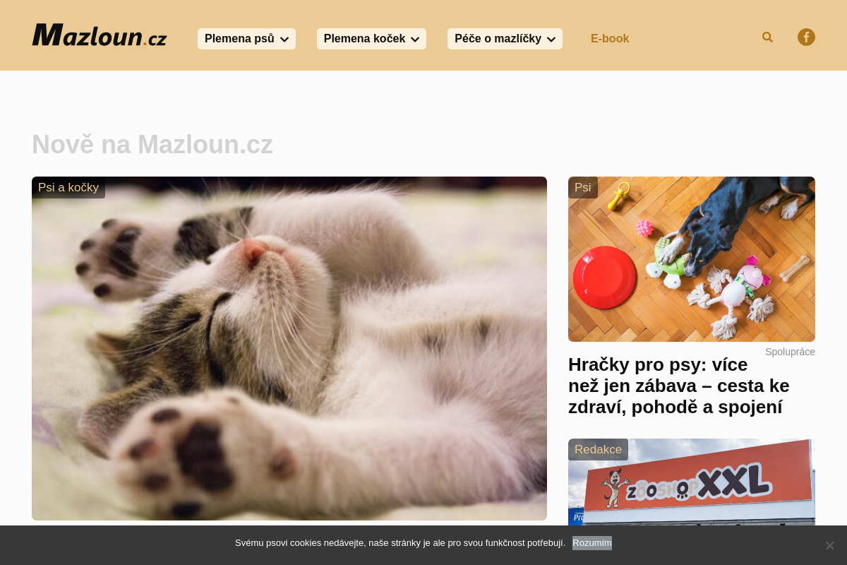 Mazloun.cz
