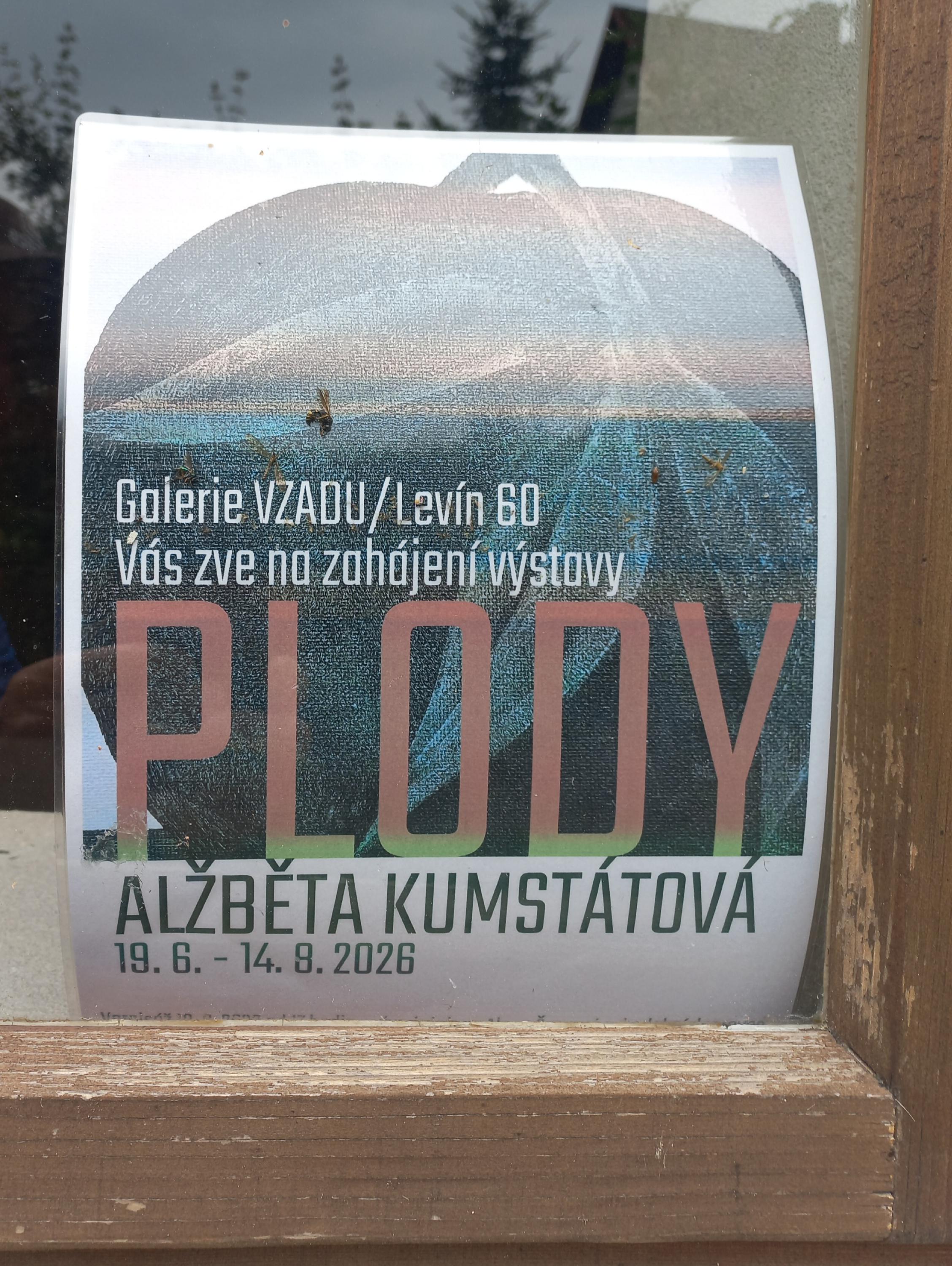 Keramický atelier UMĚ a Galerie VZADU foto 6