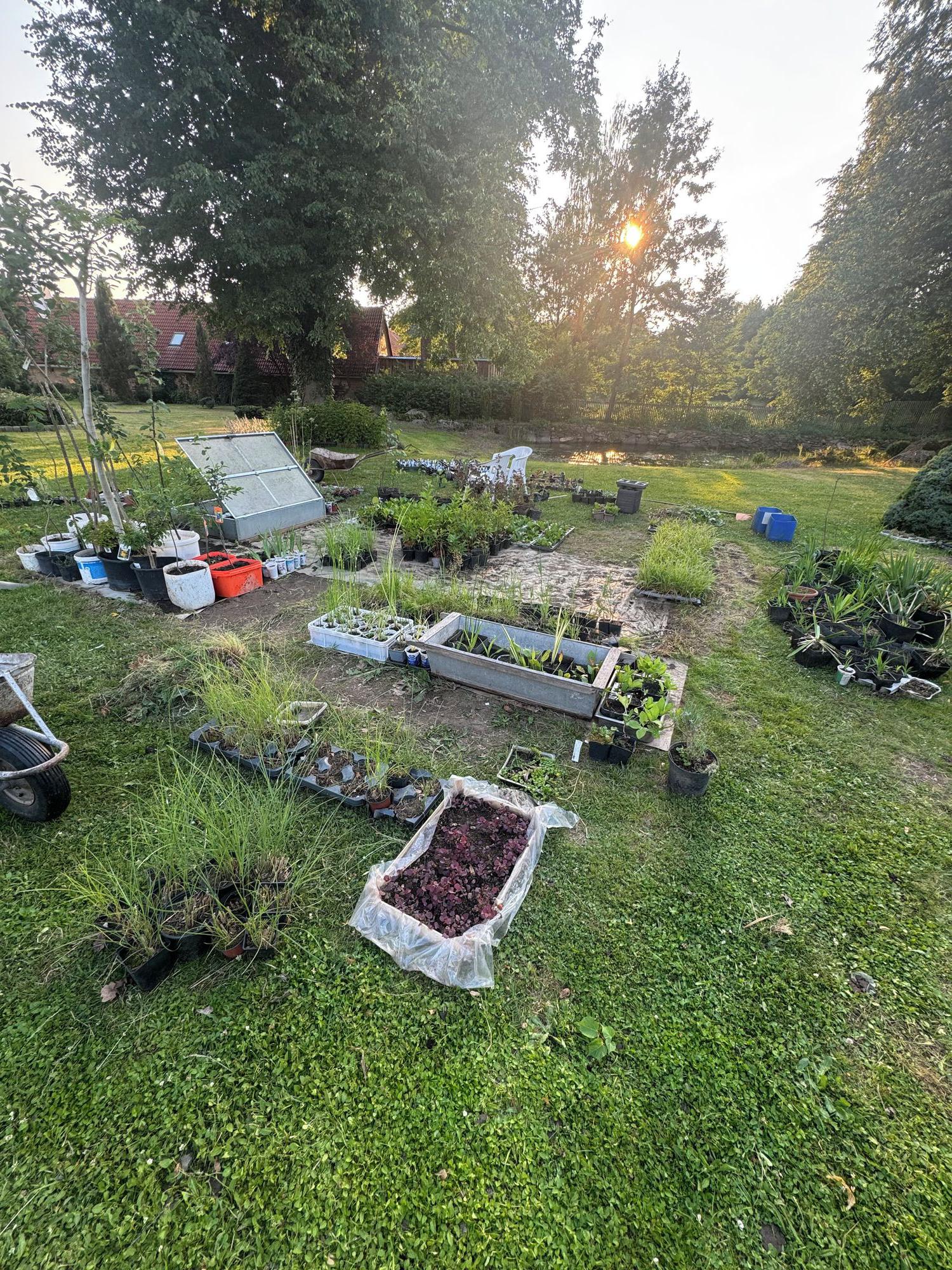 Zahradnictví pod javorem foto 3