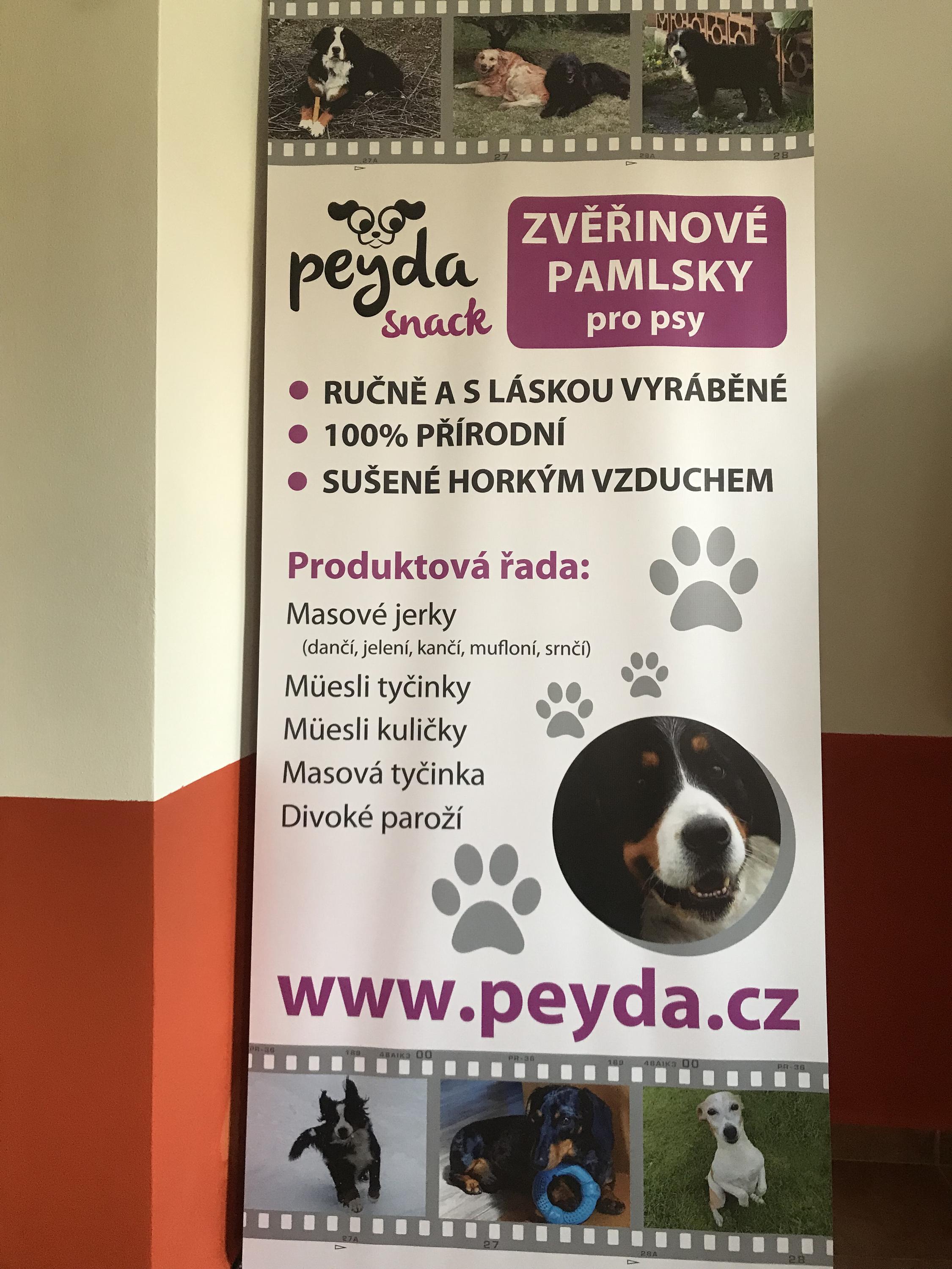 peyda.cz foto 3