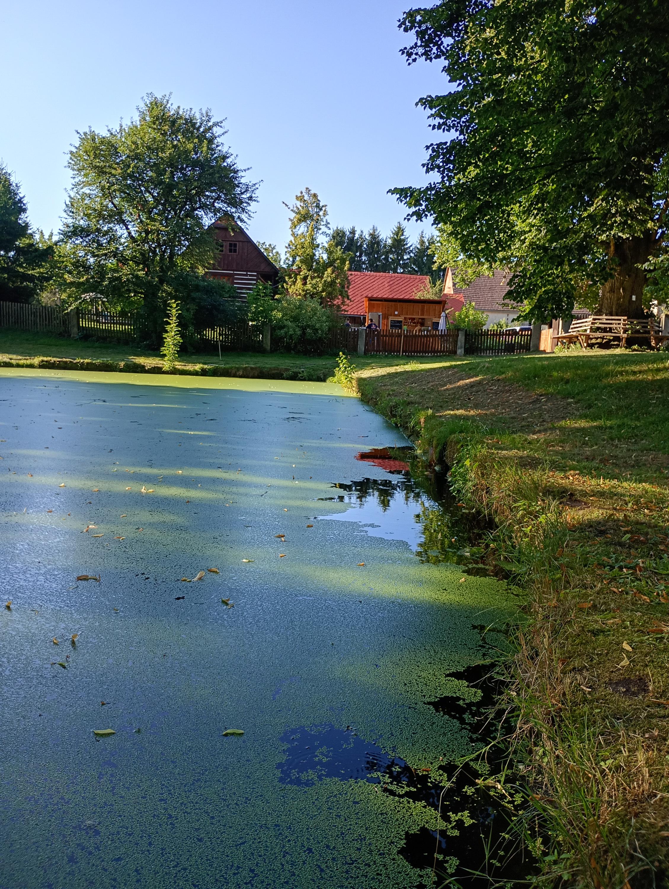 Točená zmrzlina foto 3