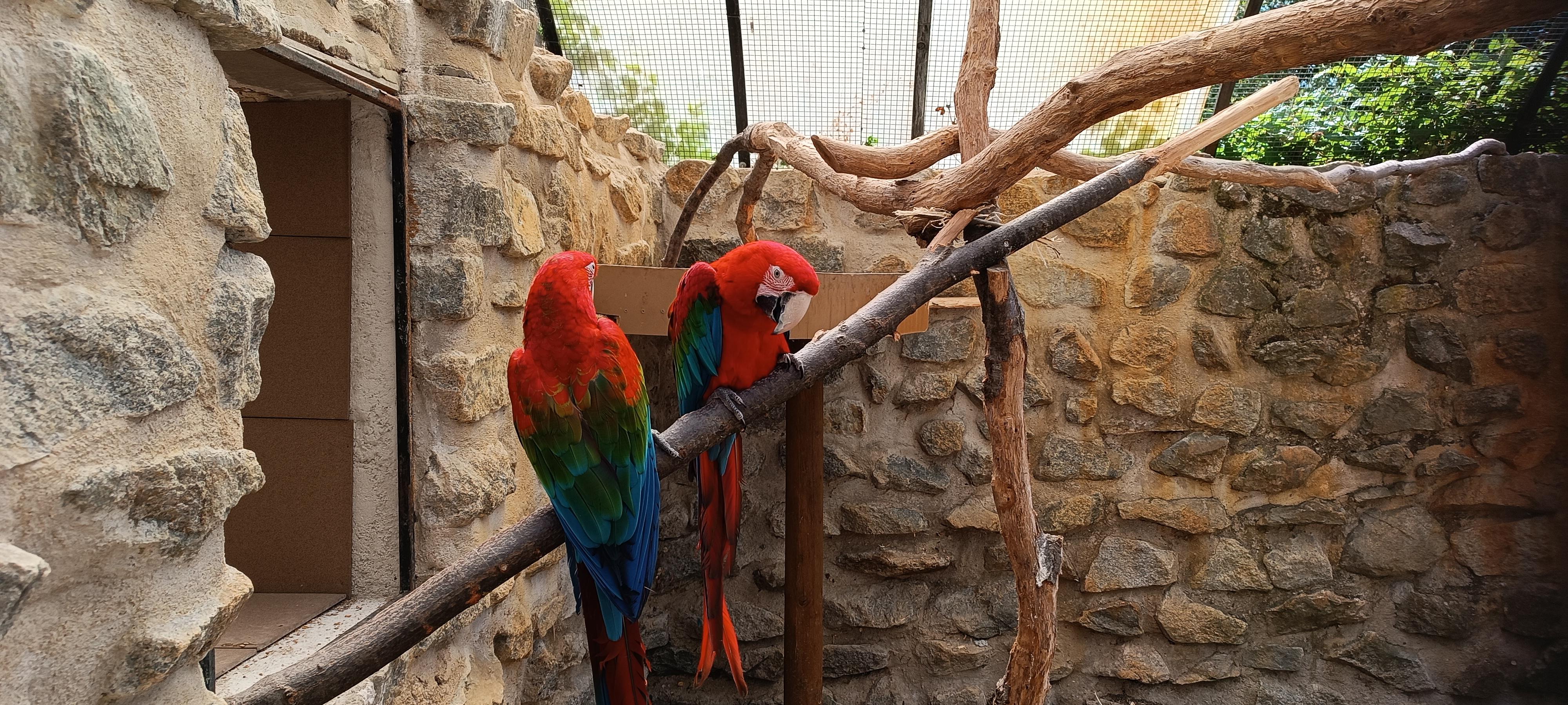 Zoo Sedlec foto 4