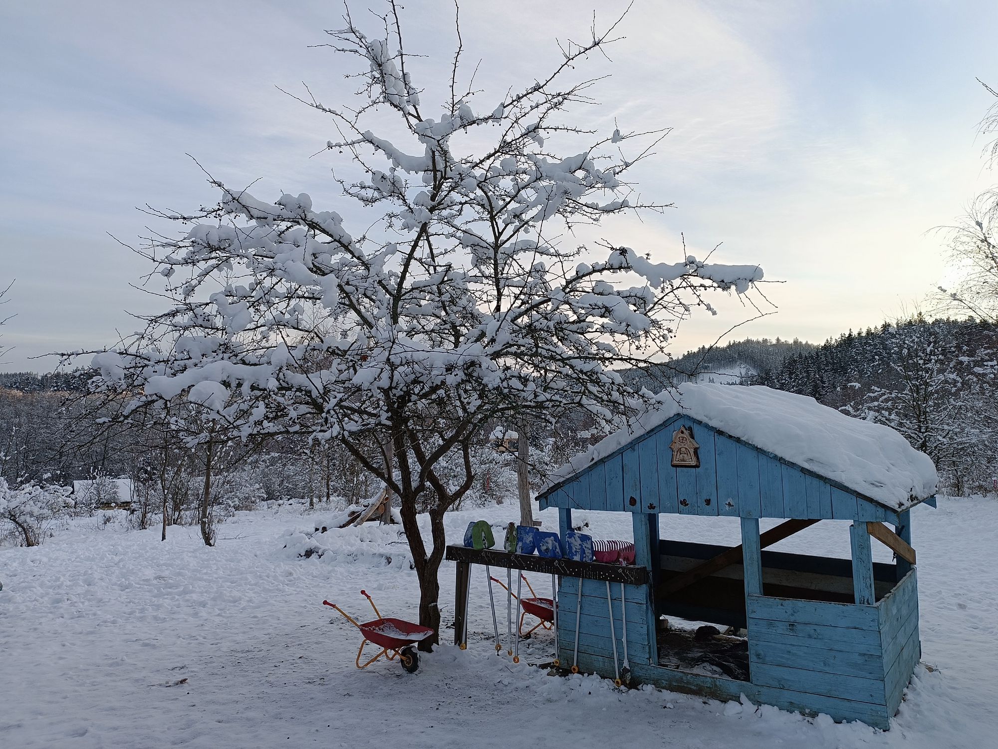 Lesní mateřská škola Svatošky foto 3