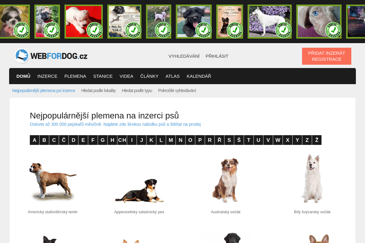 WEBFORDOG.cz