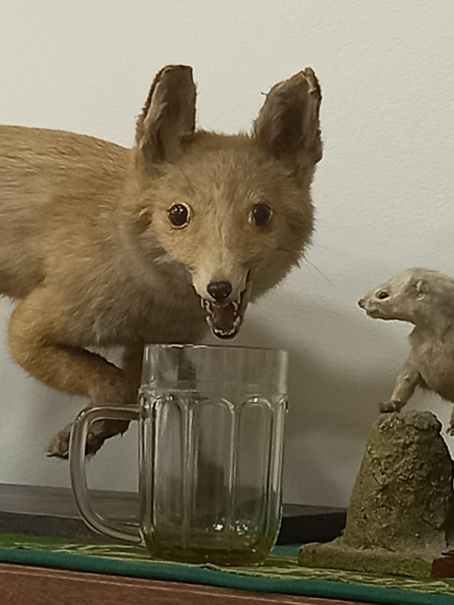 Muzeum Rumburk foto 2