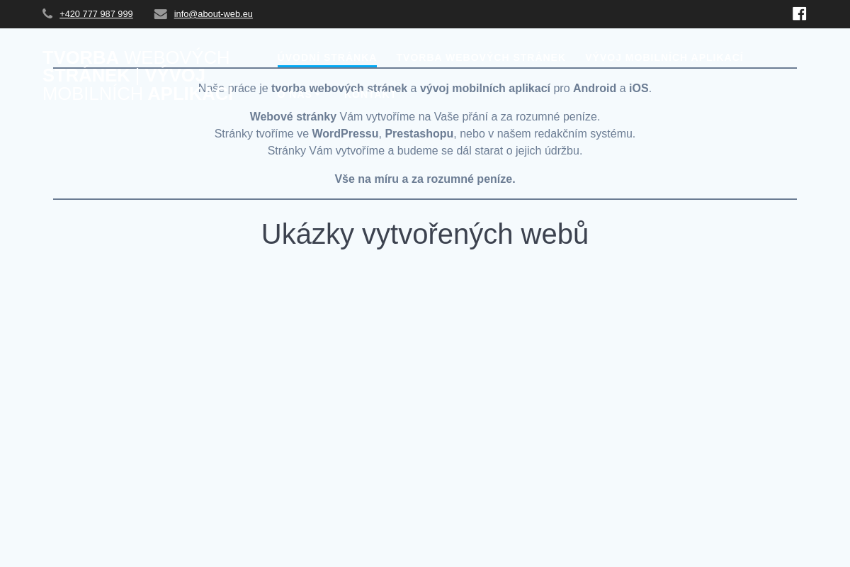 Václav Janeček - Tvorba webových stránek