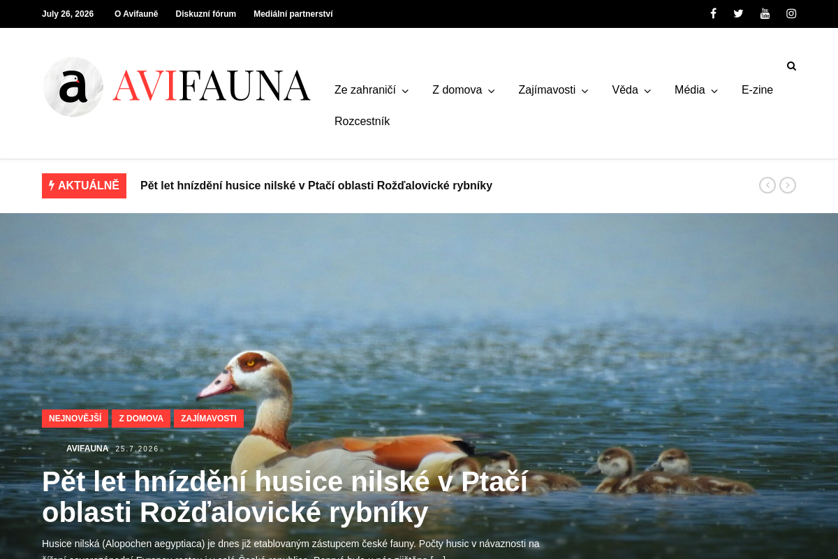 Avifauna.cz