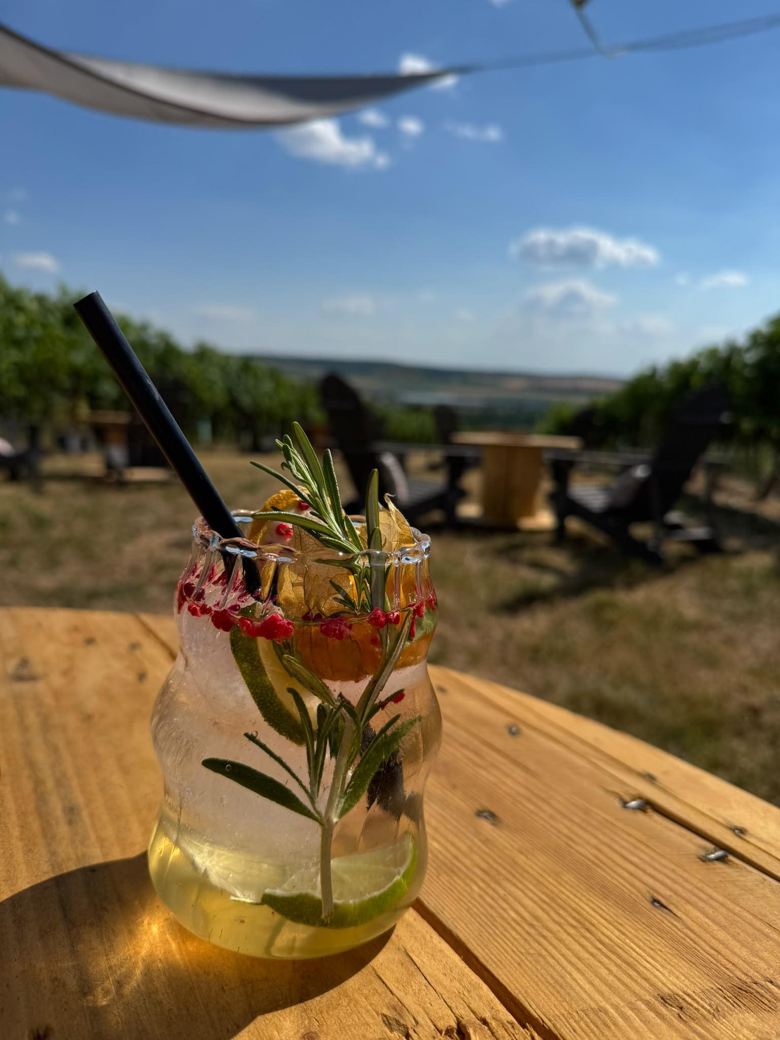 Ve vinici Mutěnice foto 6
