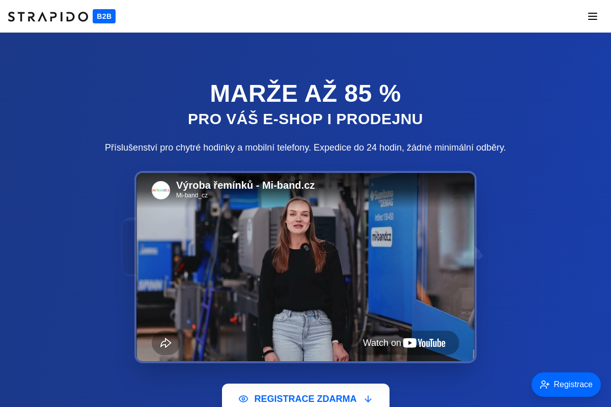 STRAPIDO B2B foto 1