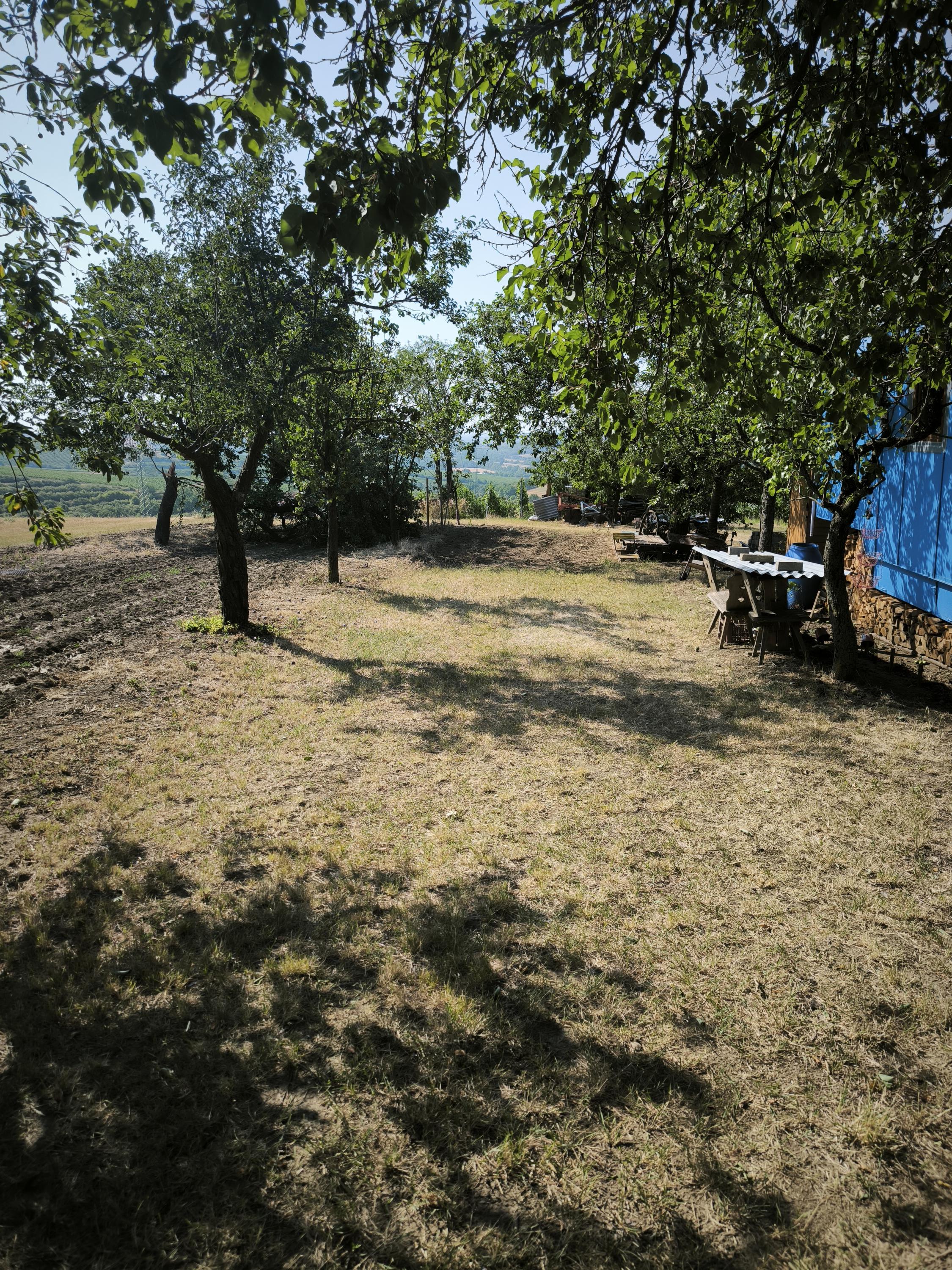 Vyhlídka mezi vinicemi v meruňkovém sadě foto 3
