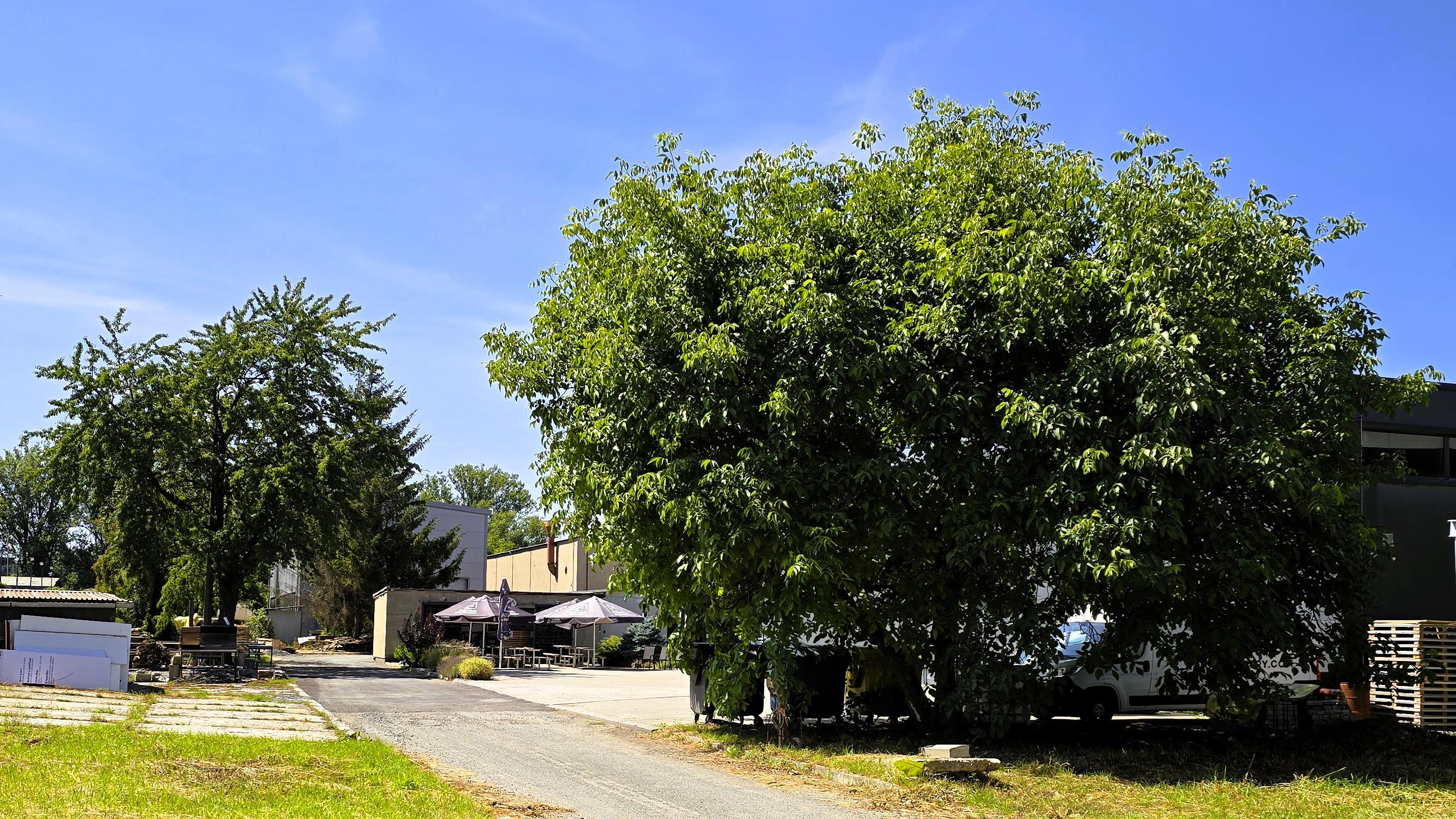 Axiom Beer Garden foto 6